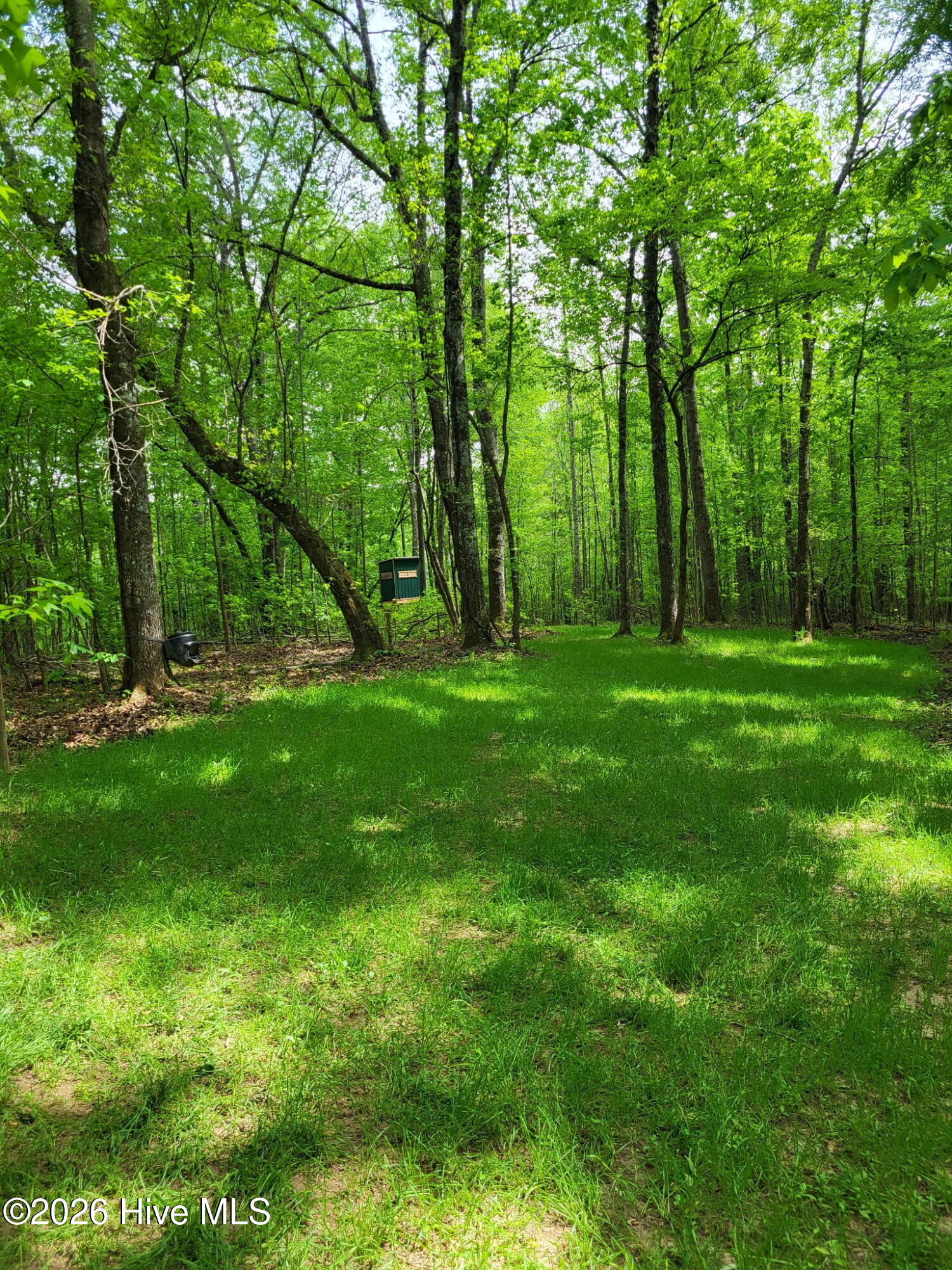 000 Court Ground Road Property Photo 44