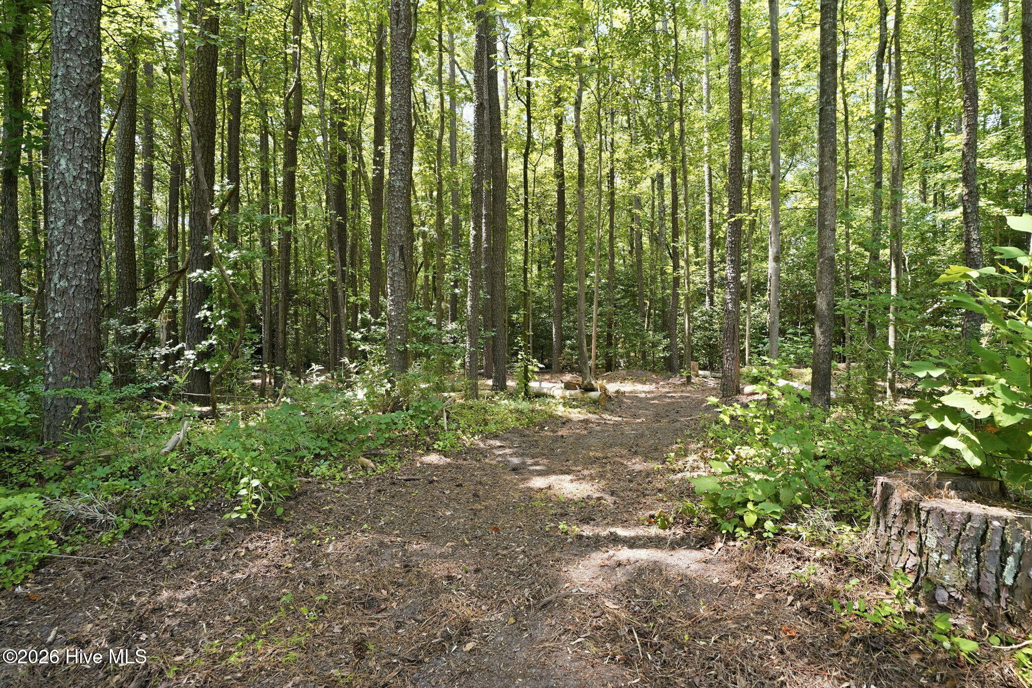 4800 Eatmon Road Property Photo 62