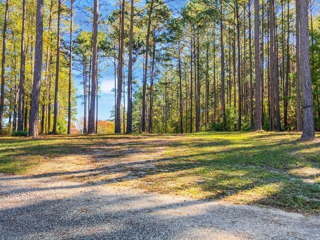 18 S Pointe Cove Property Photo 8