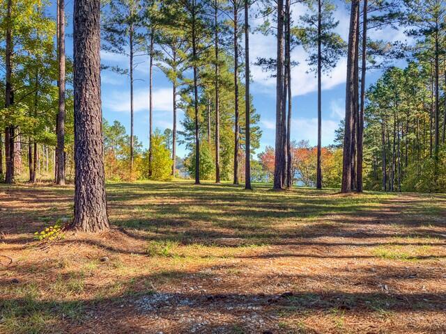 18 S Pointe Cove Property Photo 9