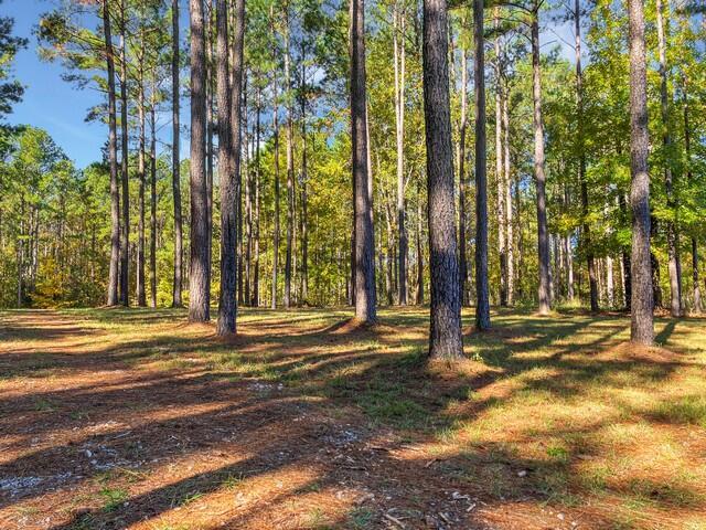 18 S Pointe Cove Property Photo 10