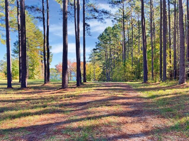 18 S Pointe Cove Property Photo 13
