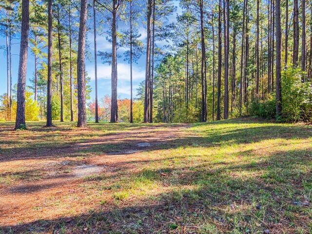18 S Pointe Cove Property Photo 15