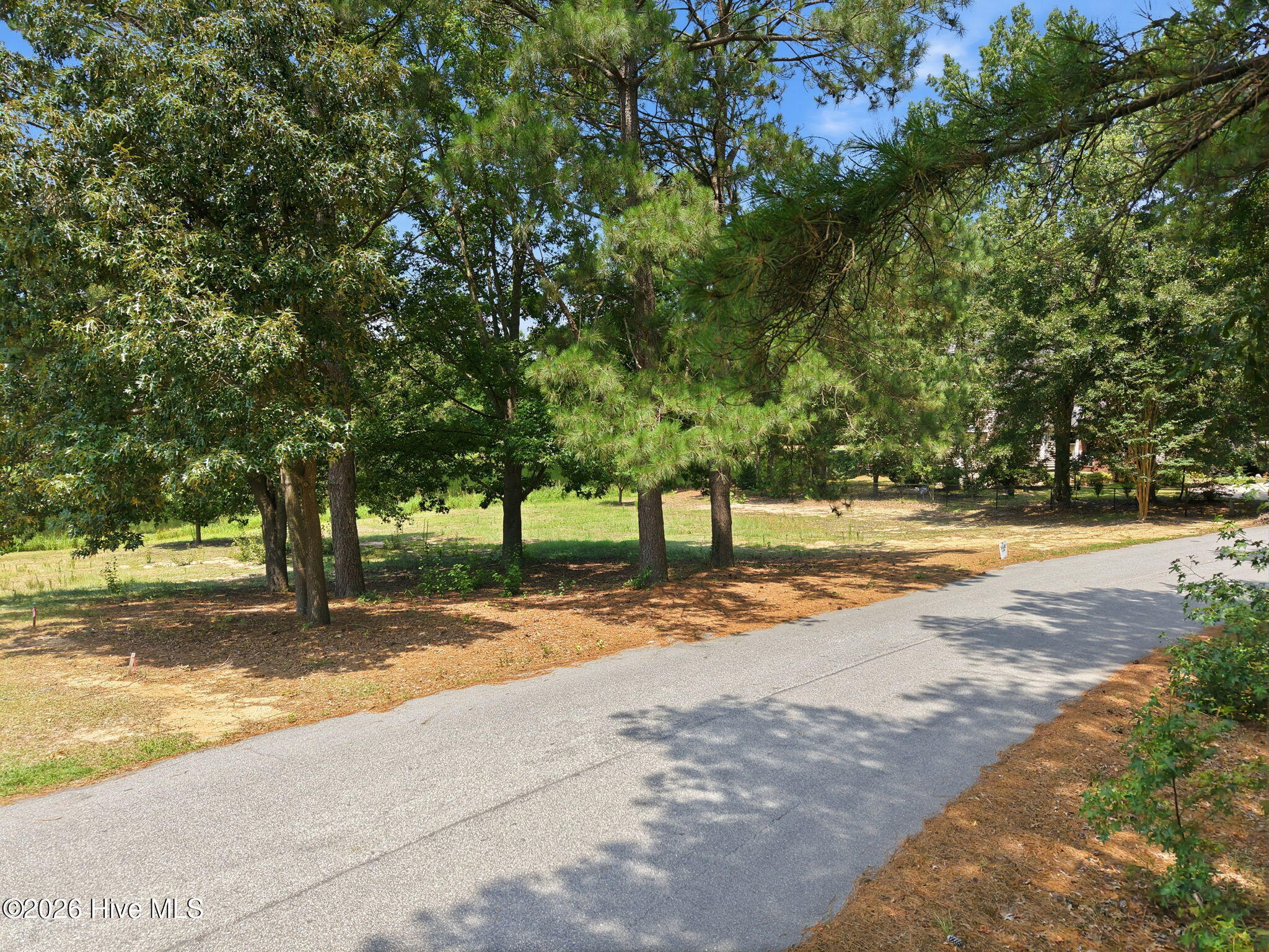 42 42 Deer Track Drive Property Photo 11