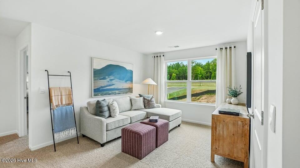 301 Maddox Drive Property Photo 19