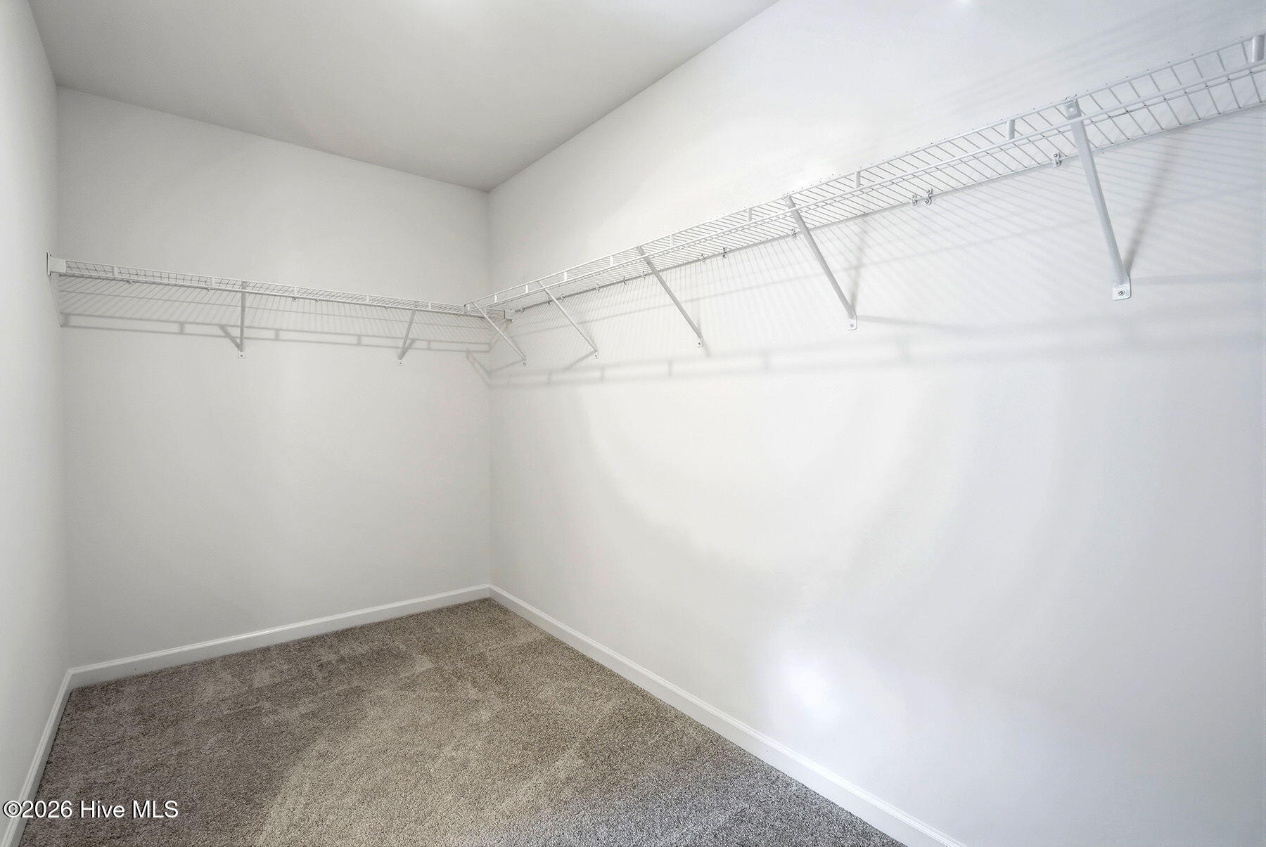 432 Bent Willow Drive Property Photo 20