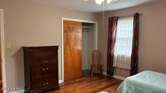 17 Moore Street Property Photo 14