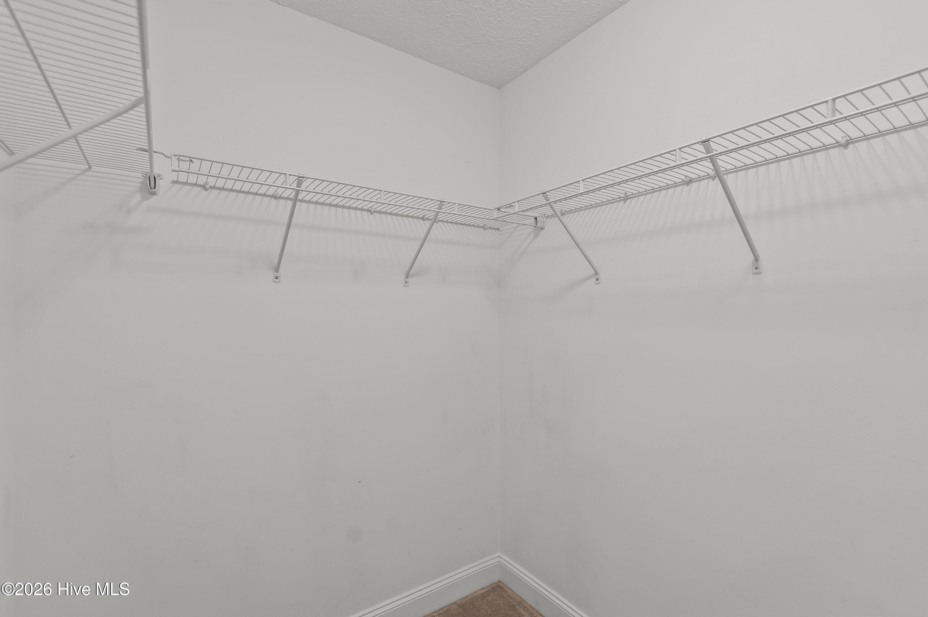 3109 John Willis Road Property Photo 26