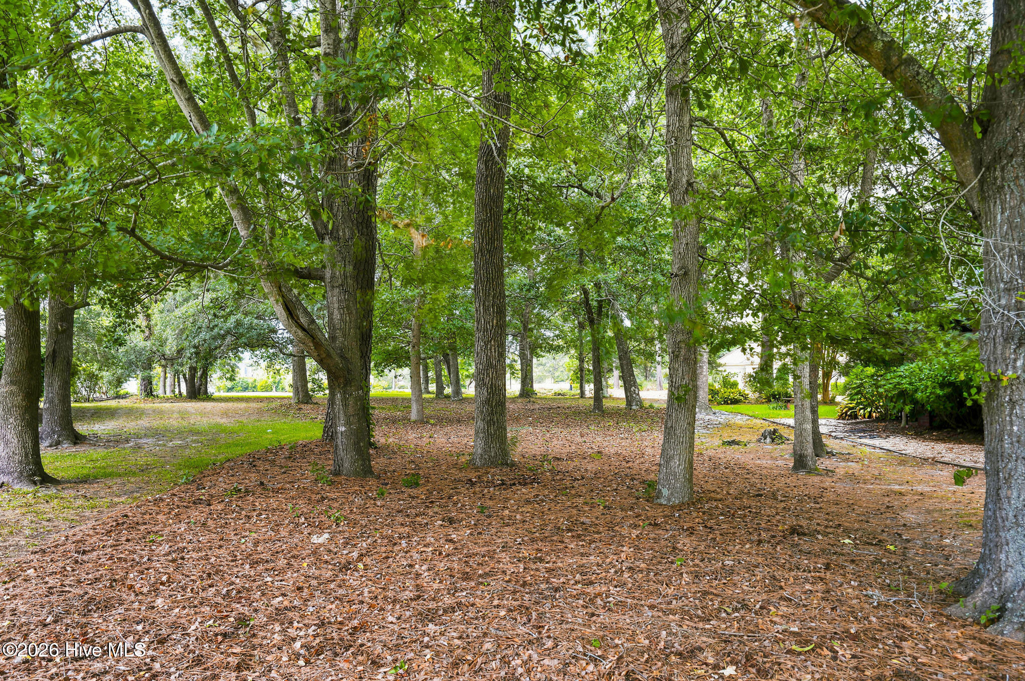 505 82 Mayfair Notch Sw Property Photo 7