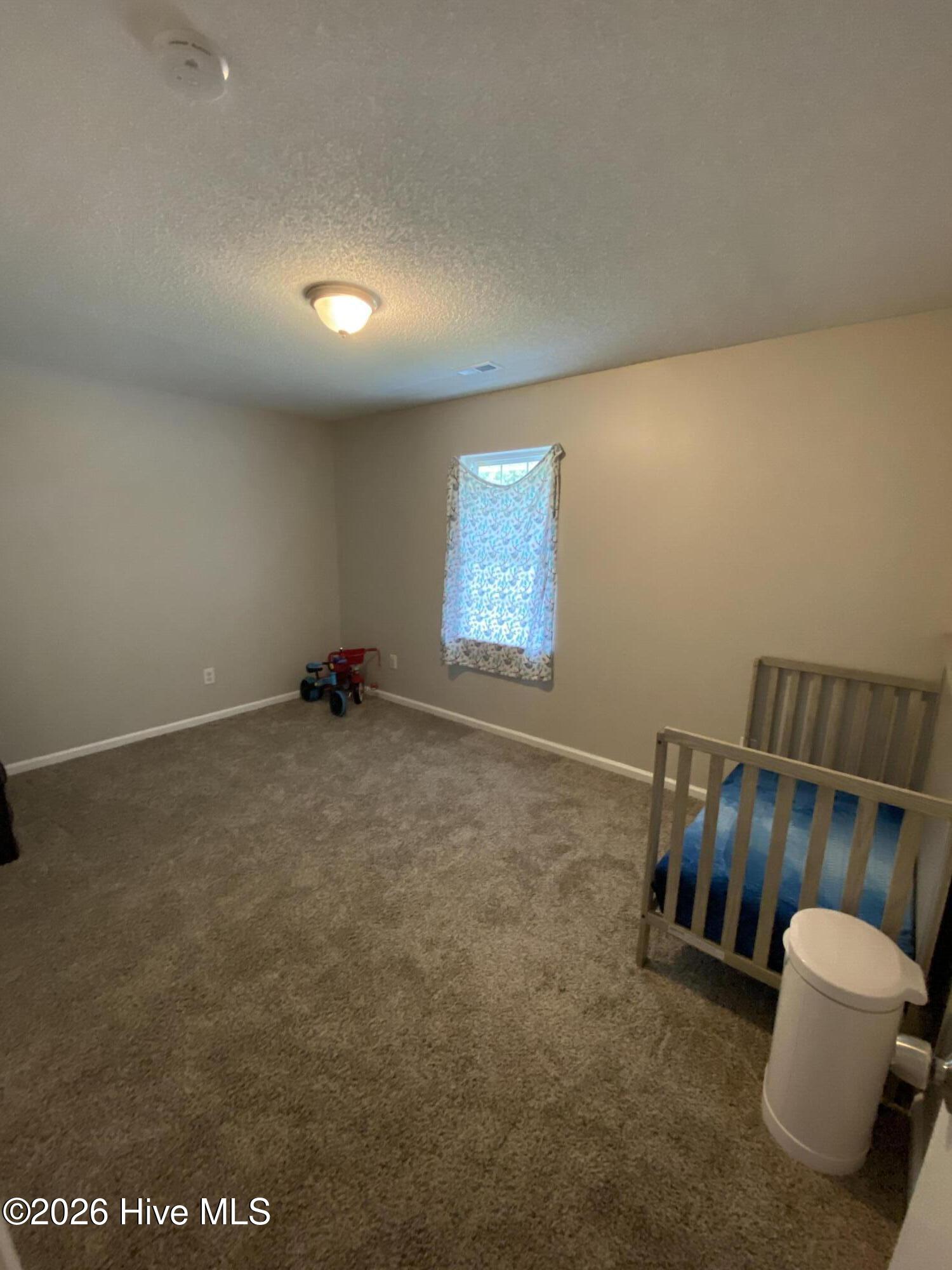 111 Howell Drive Property Photo 10