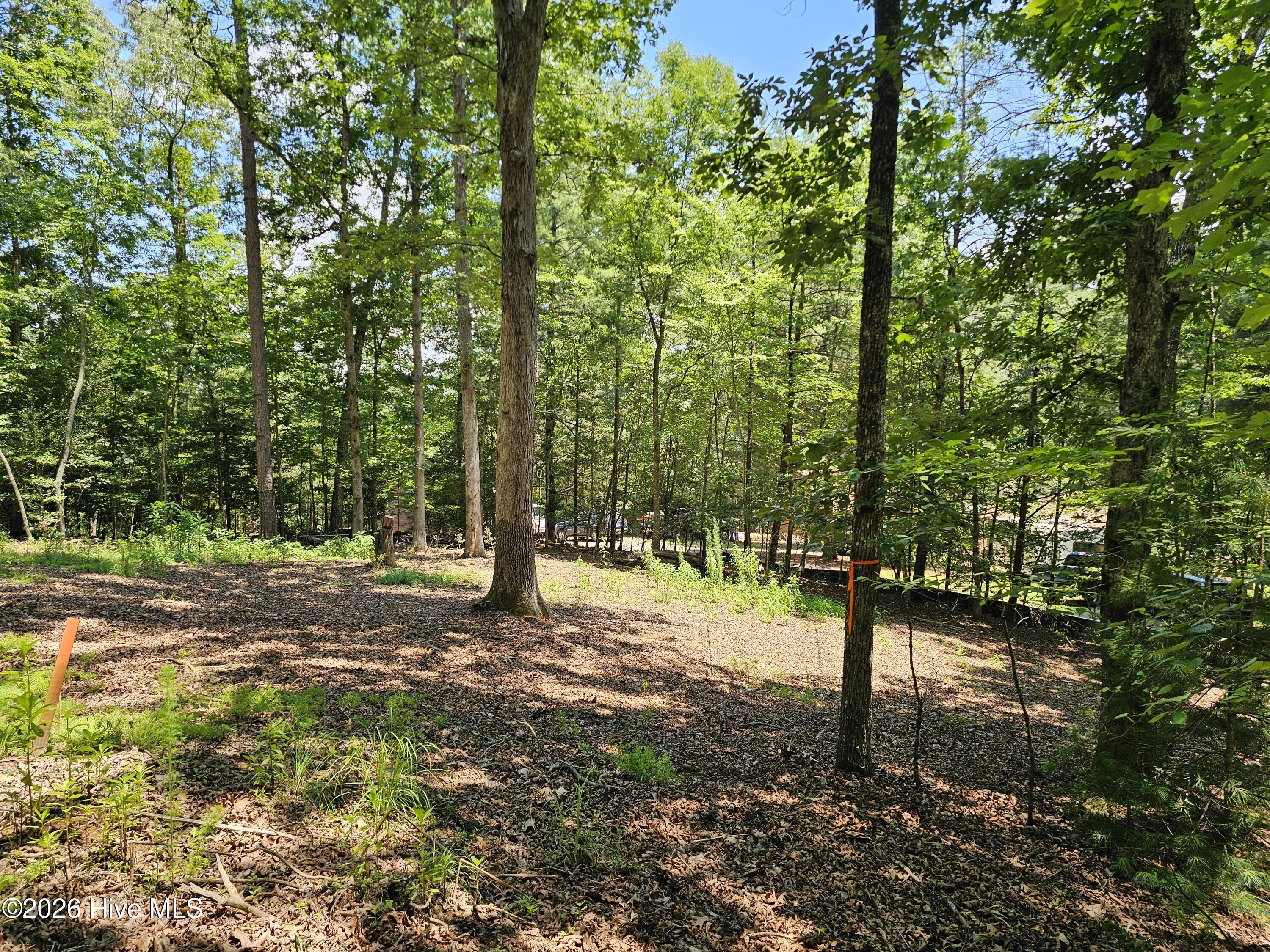 Lot 10 10 Bobcat Lane Property Photo 6