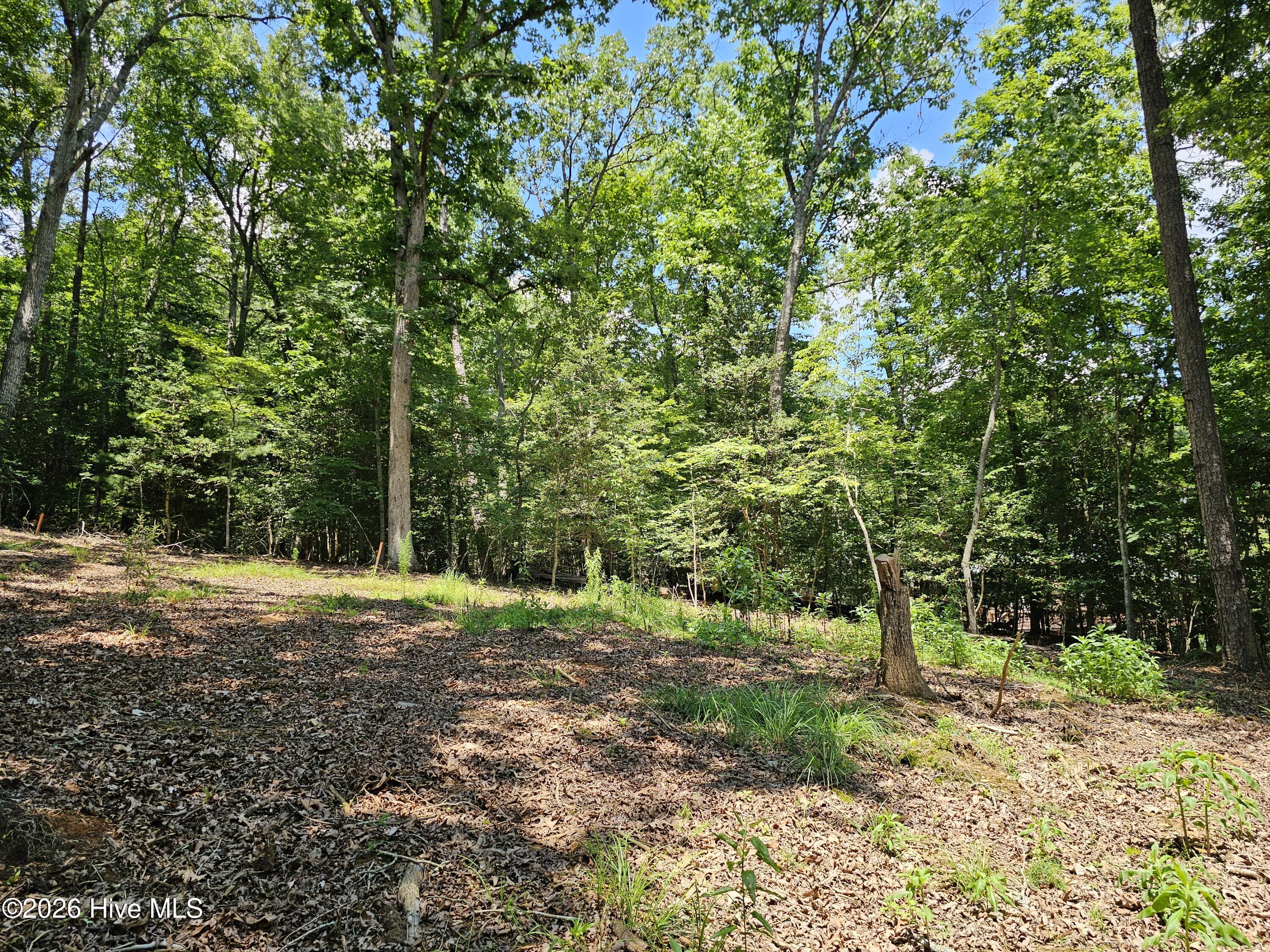 Lot 10 10 Bobcat Lane Property Photo 7