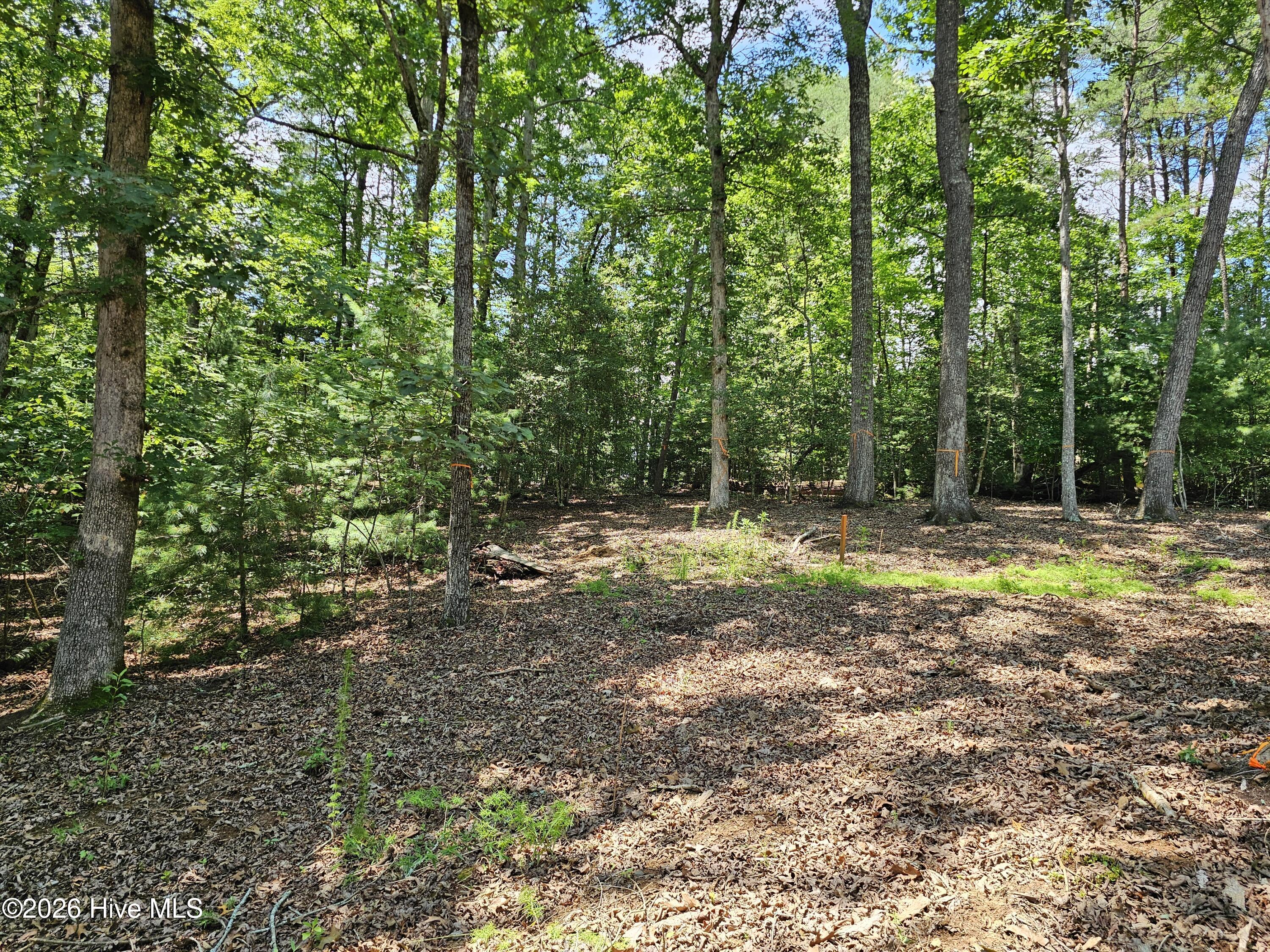 Lot 10 10 Bobcat Lane Property Photo 8