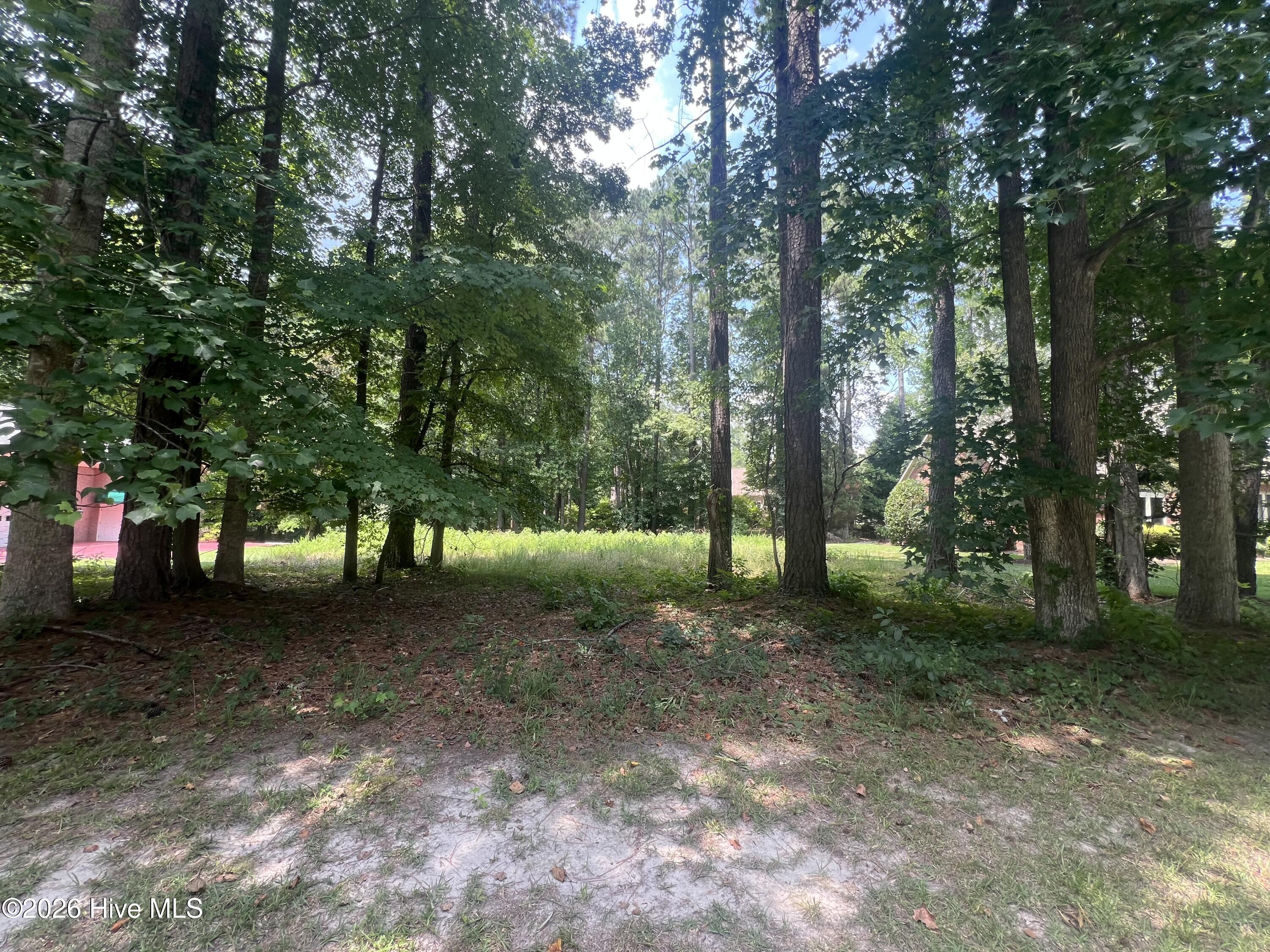 309 Potomac Drive Property Photo 1