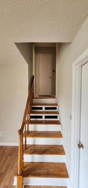 3106 Truxton Road Property Photo 5