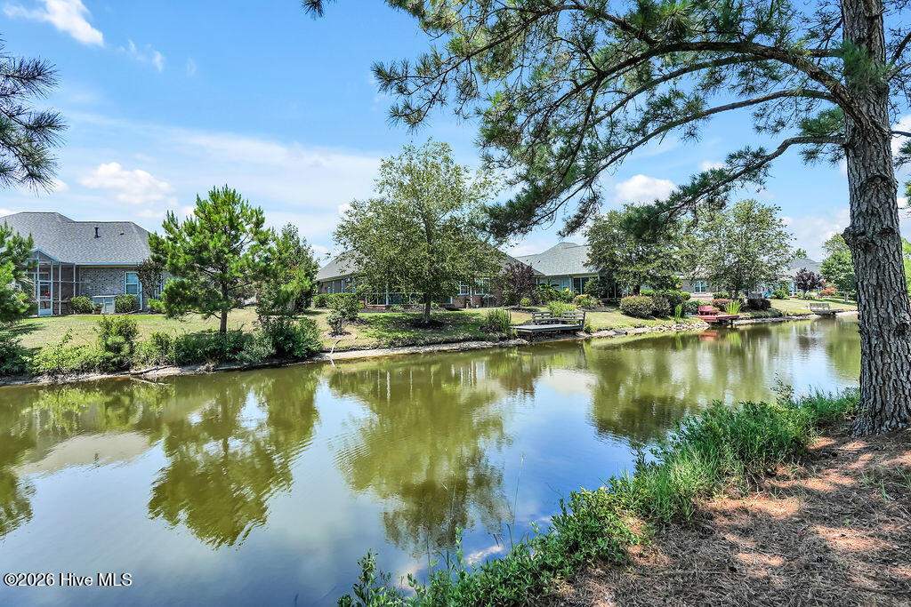 1016 Ginger Lily Way Property Photo 34