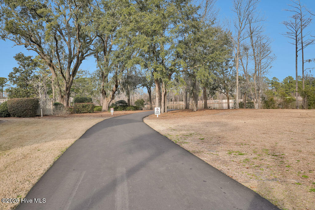 1016 Ginger Lily Way Property Photo 46