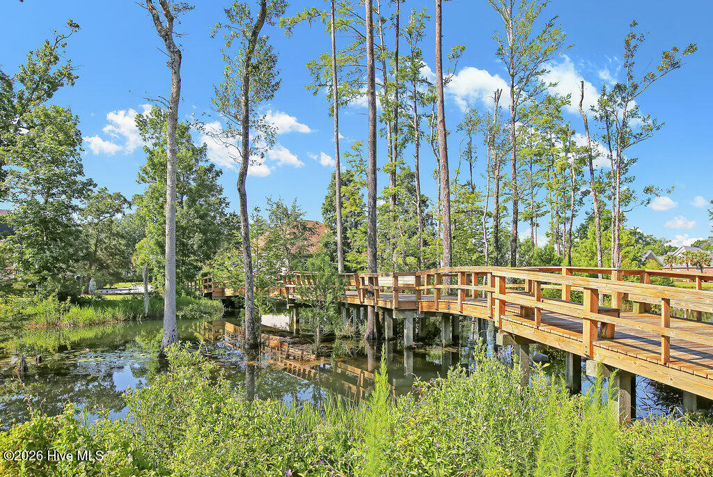 1016 Ginger Lily Way Property Photo 56