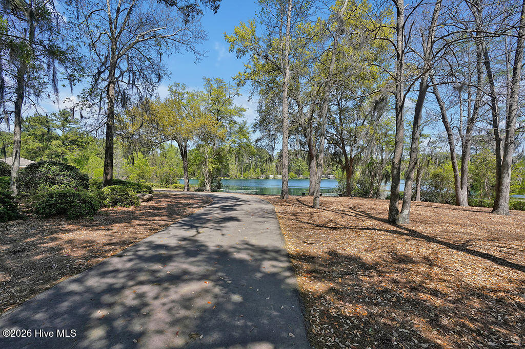 1016 Ginger Lily Way Property Photo 61