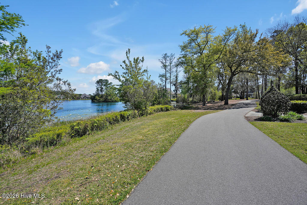 1016 Ginger Lily Way Property Photo 62