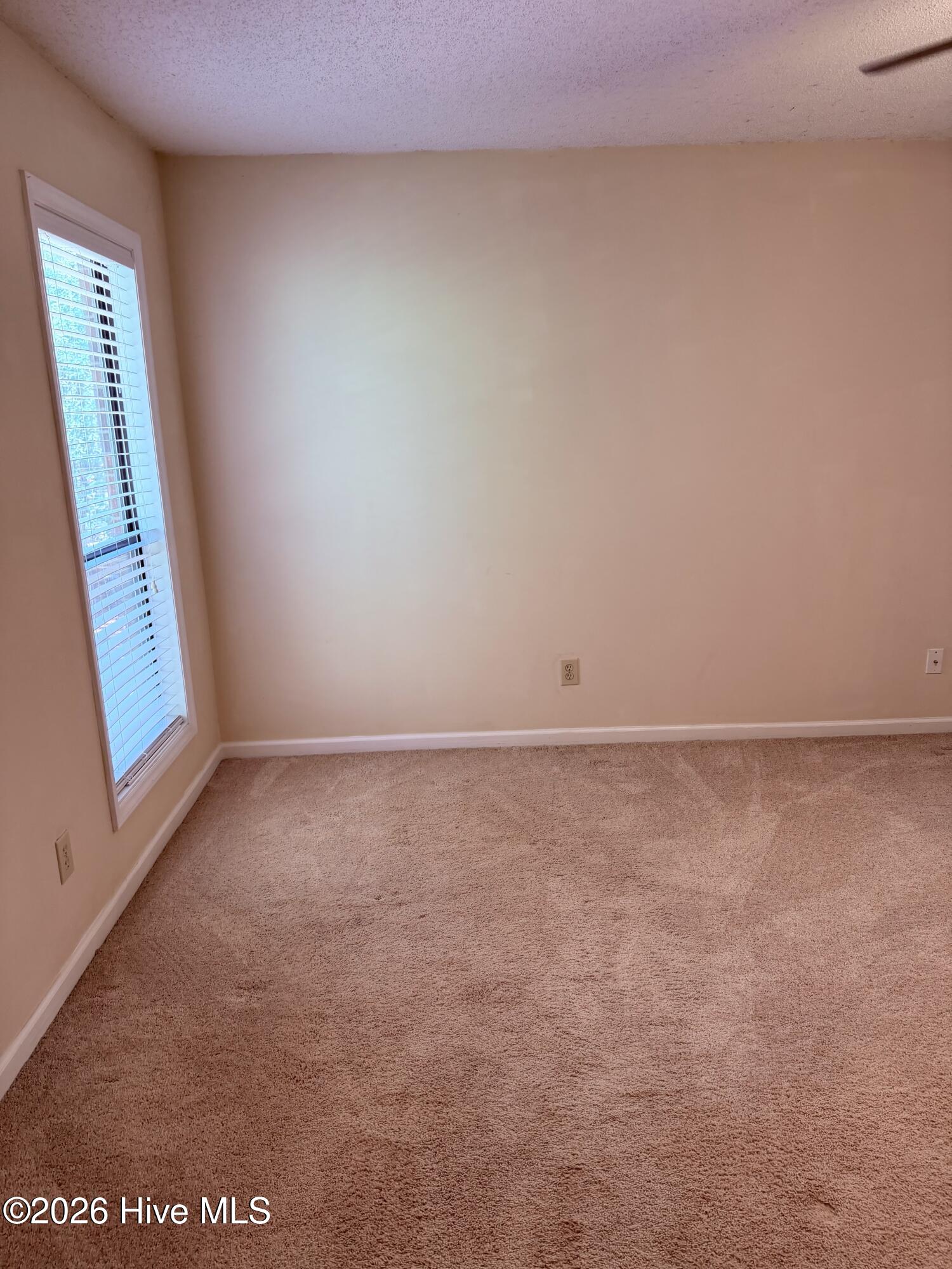 812 Hidden Branches Close Property Photo 16