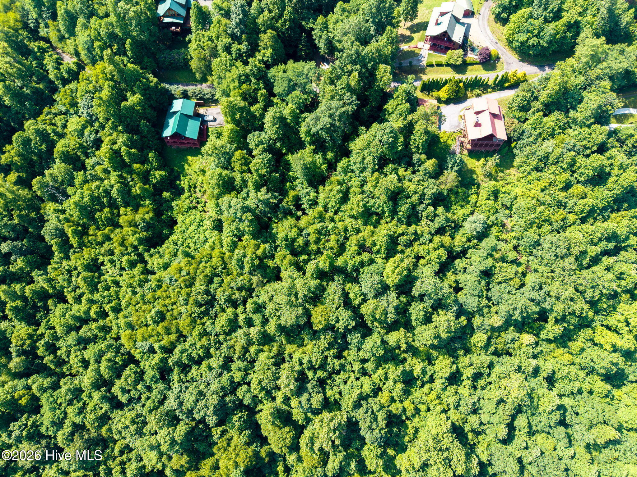 46 Buck Ridge Drive Property Photo 7