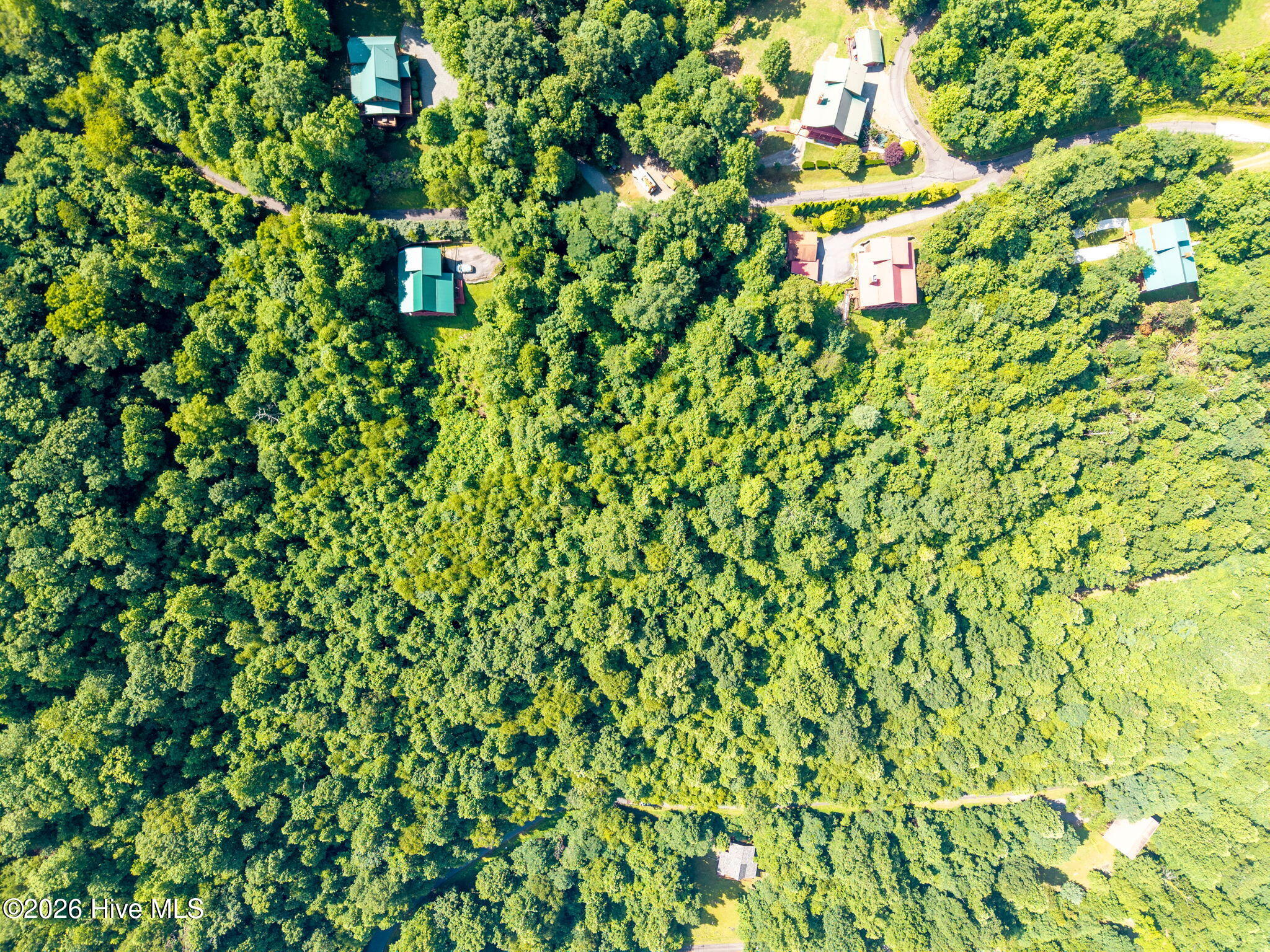 46 Buck Ridge Drive Property Photo 11
