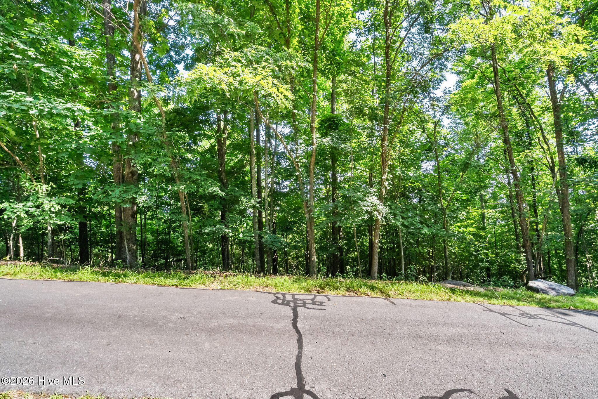 46 Buck Ridge Drive Property Photo 12