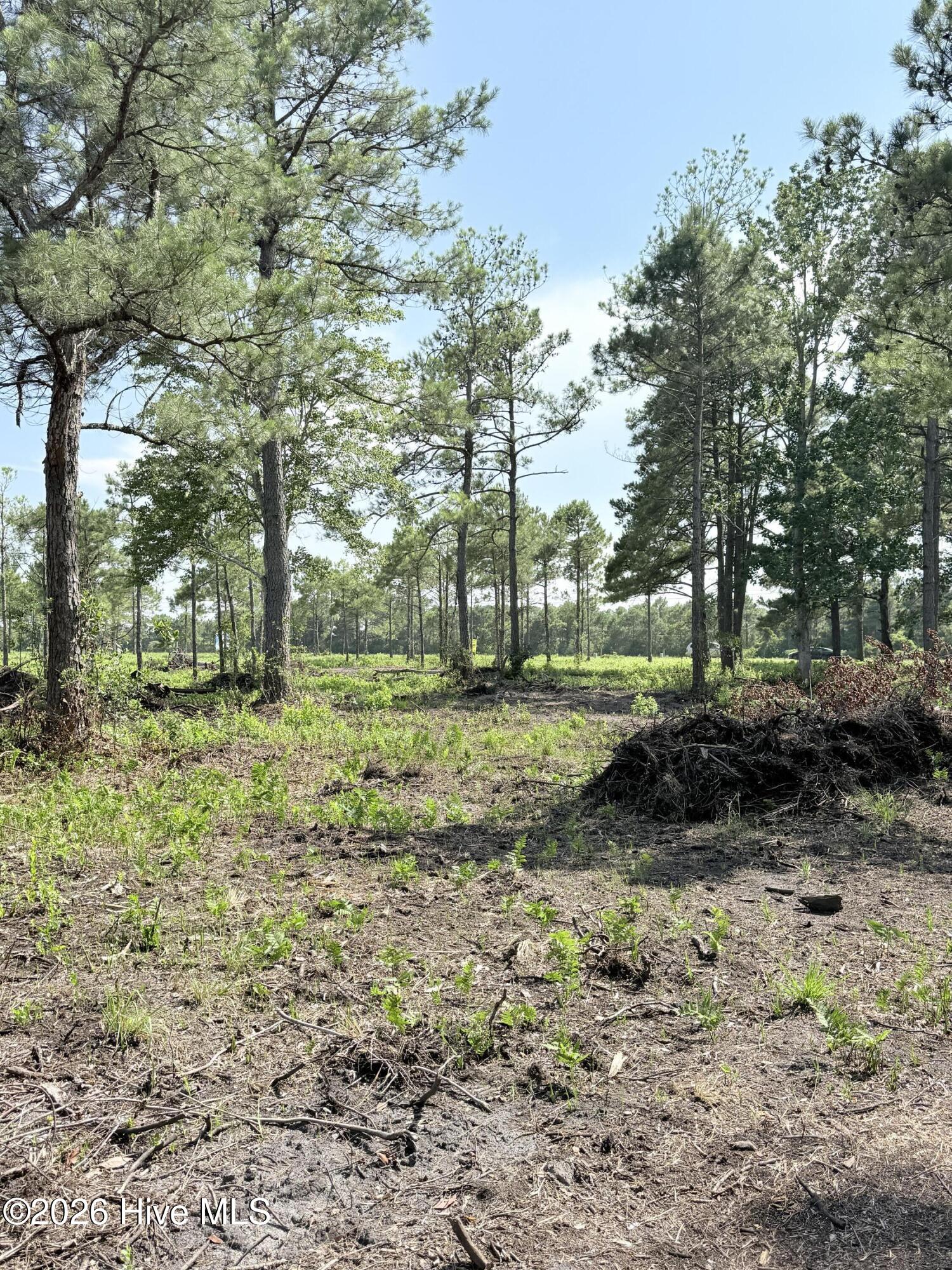 00 Seaside (12.25 Acres) Road Sw Property Photo 3