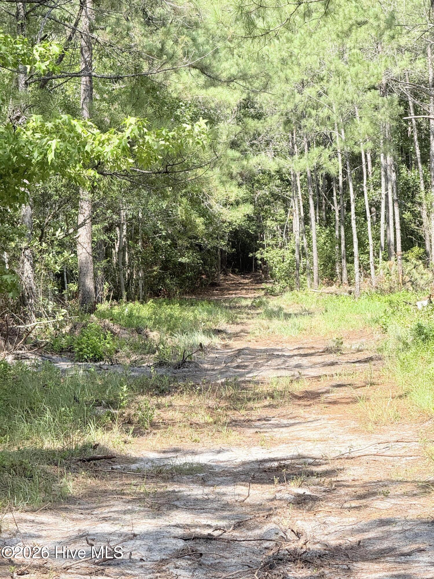 00 Seaside (12.25 Acres) Road Sw Property Photo 6