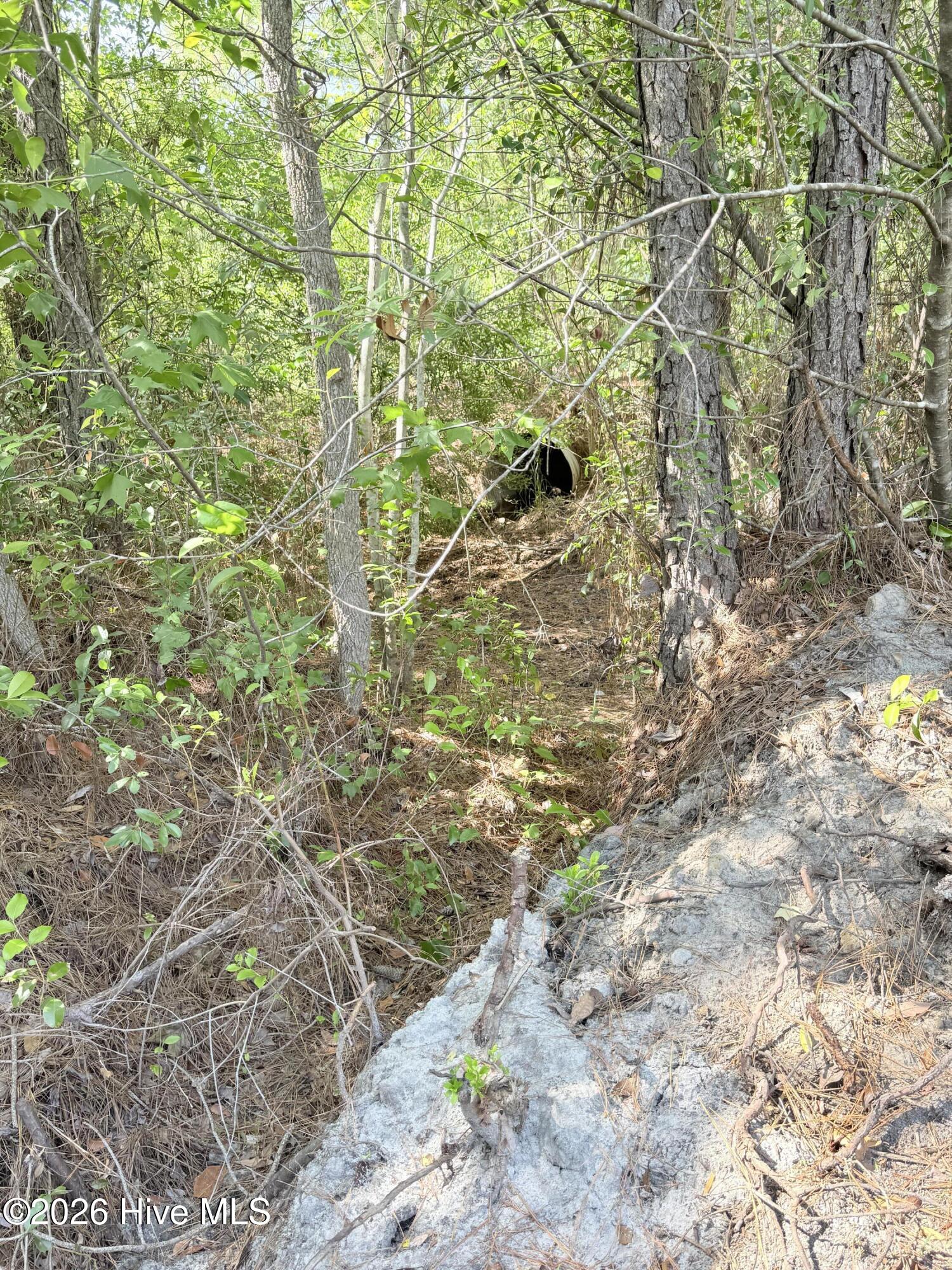 00 Seaside (12.25 Acres) Road Sw Property Photo 7