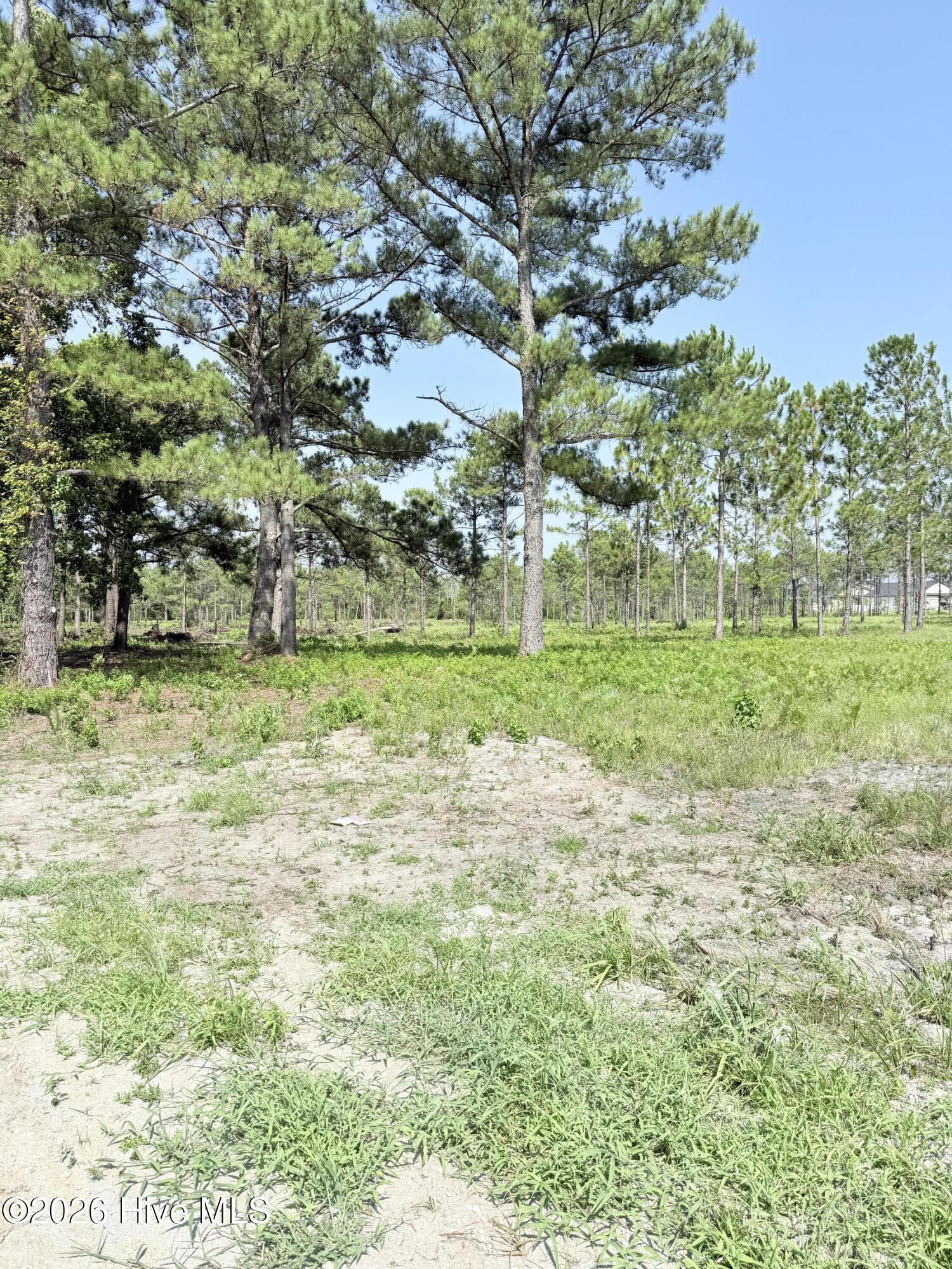 00 Seaside (12.25 Acres) Road Sw Property Photo 8