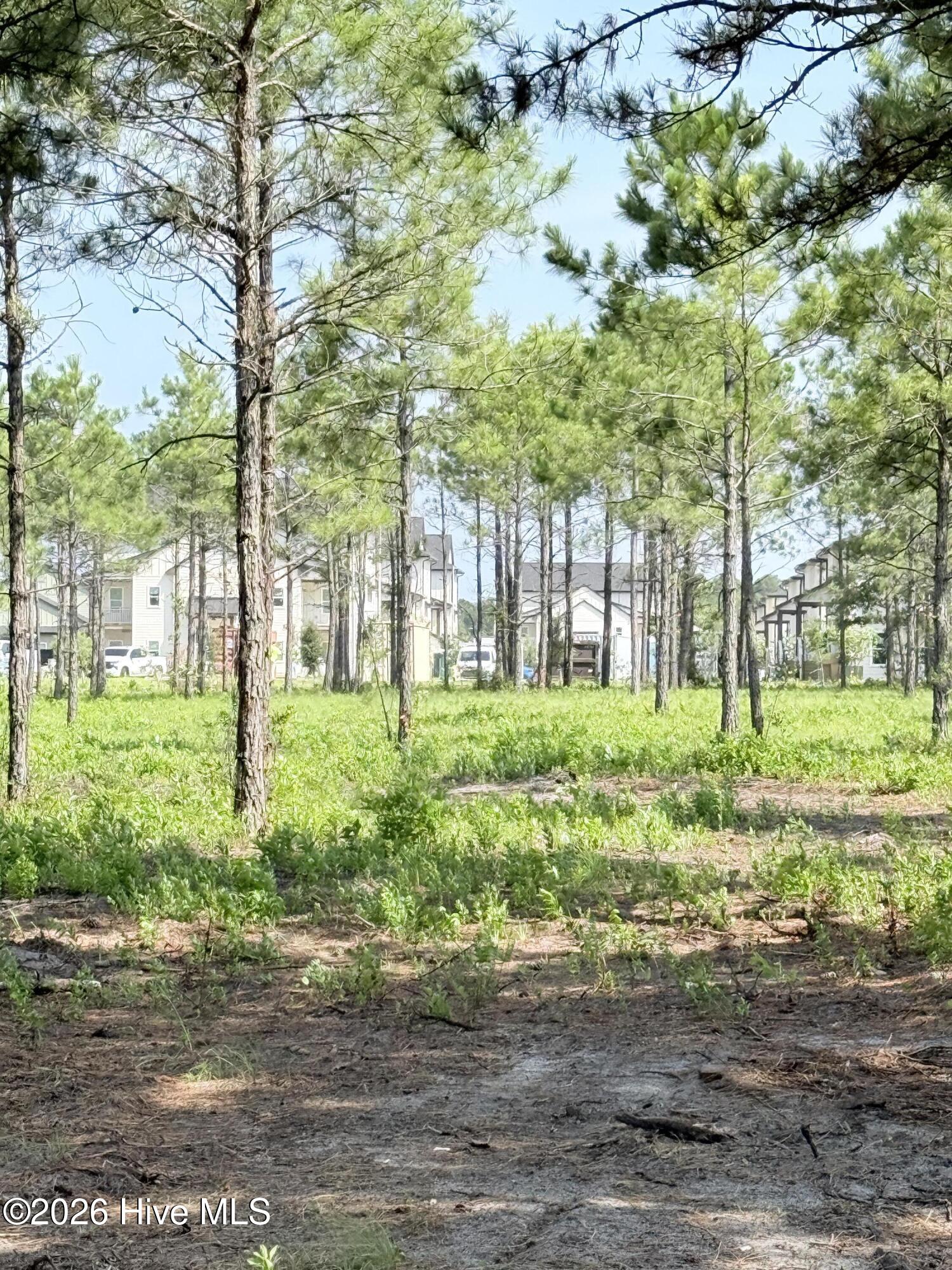 00 Seaside (12.25 Acres) Road Sw Property Photo 9