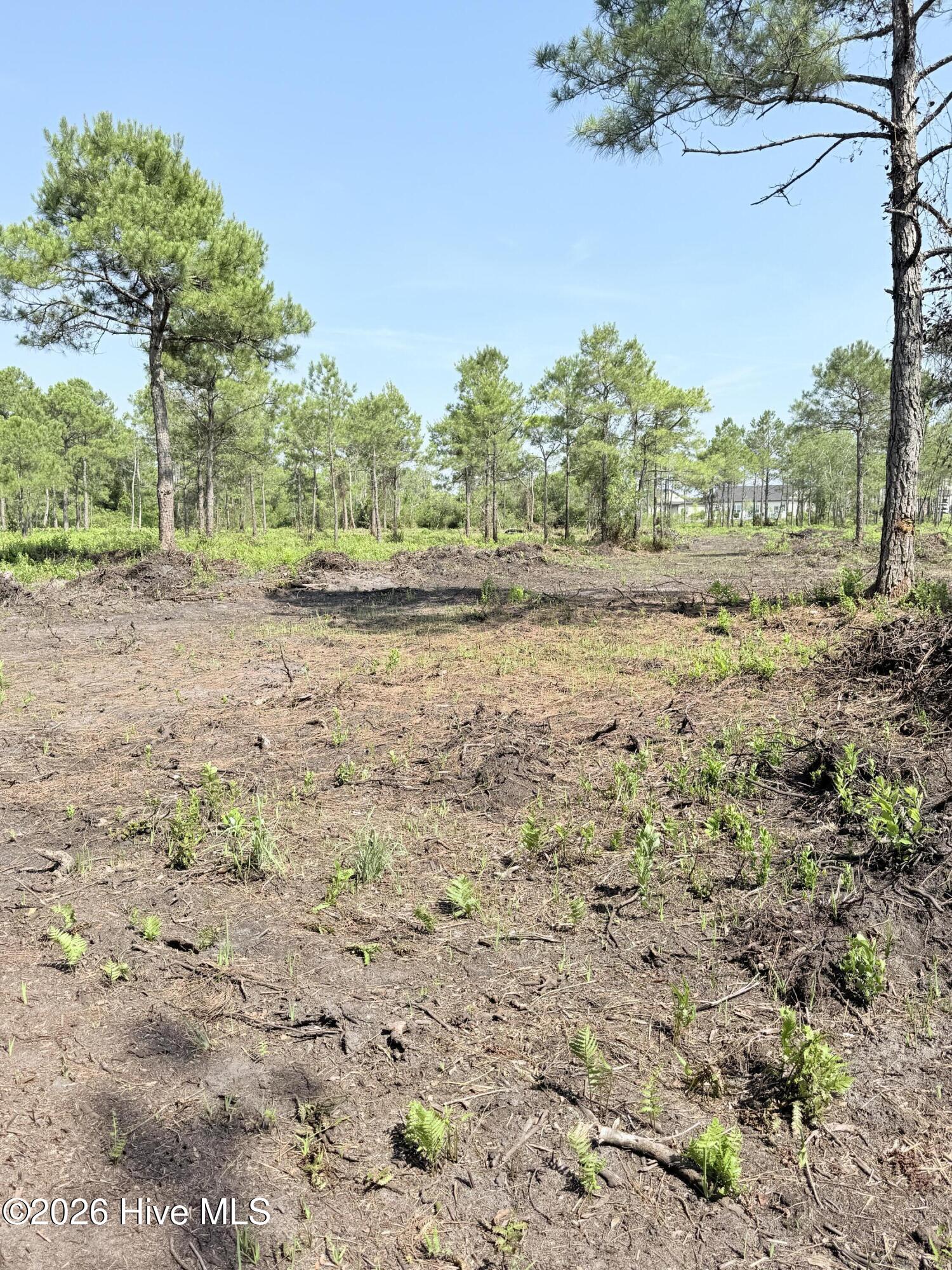 00 Seaside (12.25 Acres) Road Sw Property Photo 12