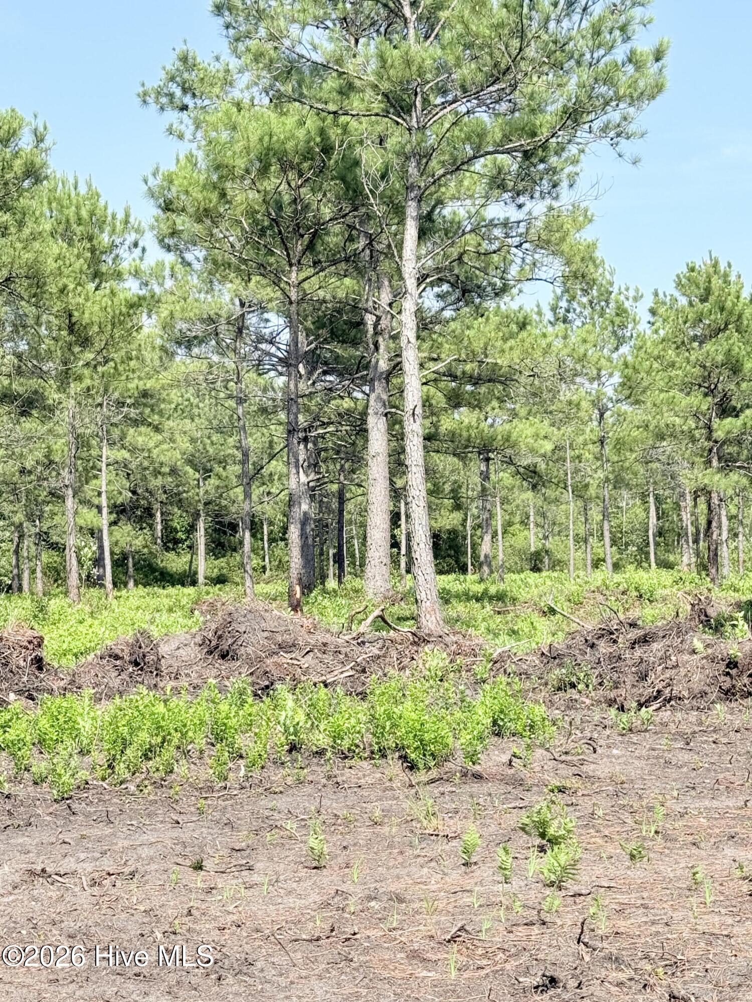 00 Seaside (12.25 Acres) Road Sw Property Photo 13