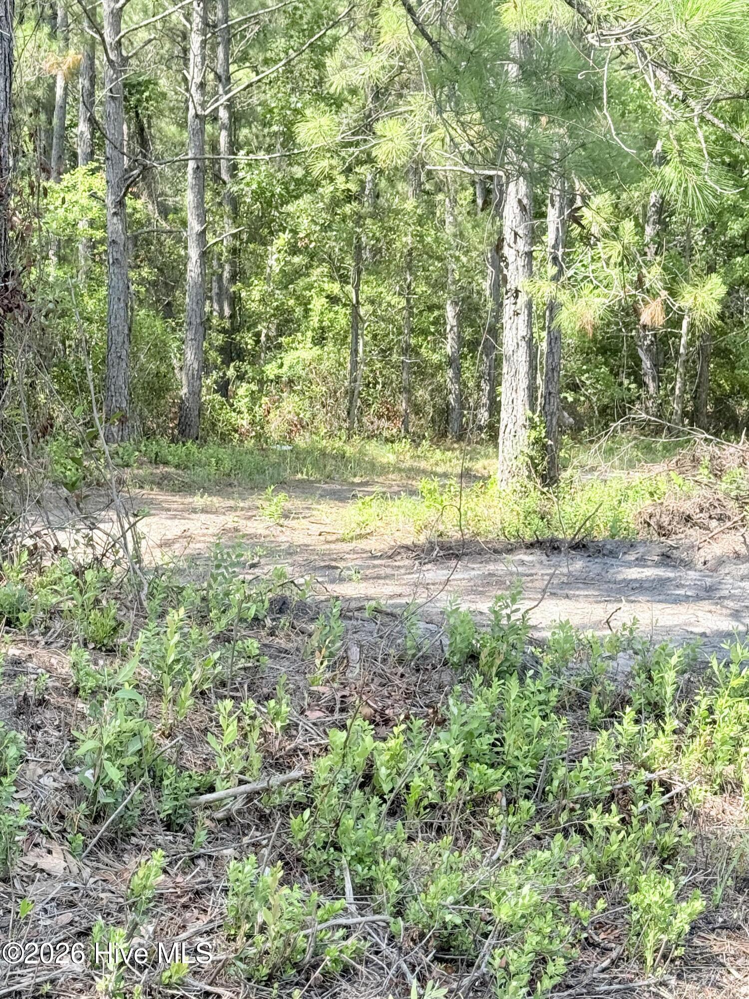 00 Seaside (12.25 Acres) Road Sw Property Photo 14