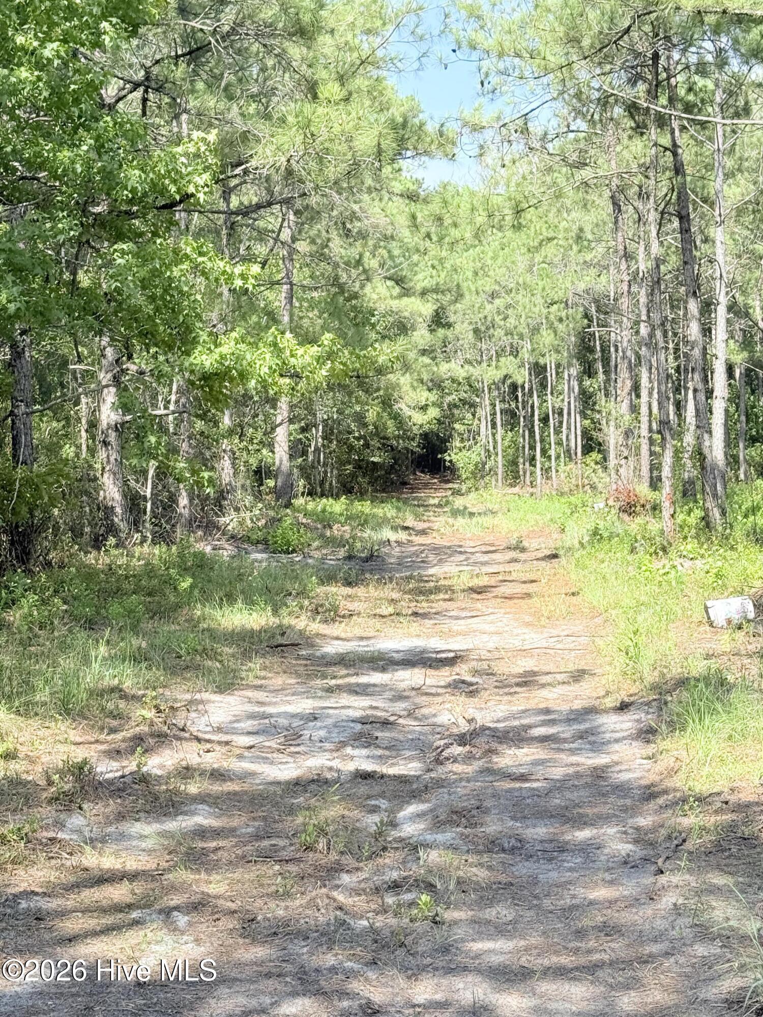 00 Seaside (12.25 Acres) Road Sw Property Photo 15