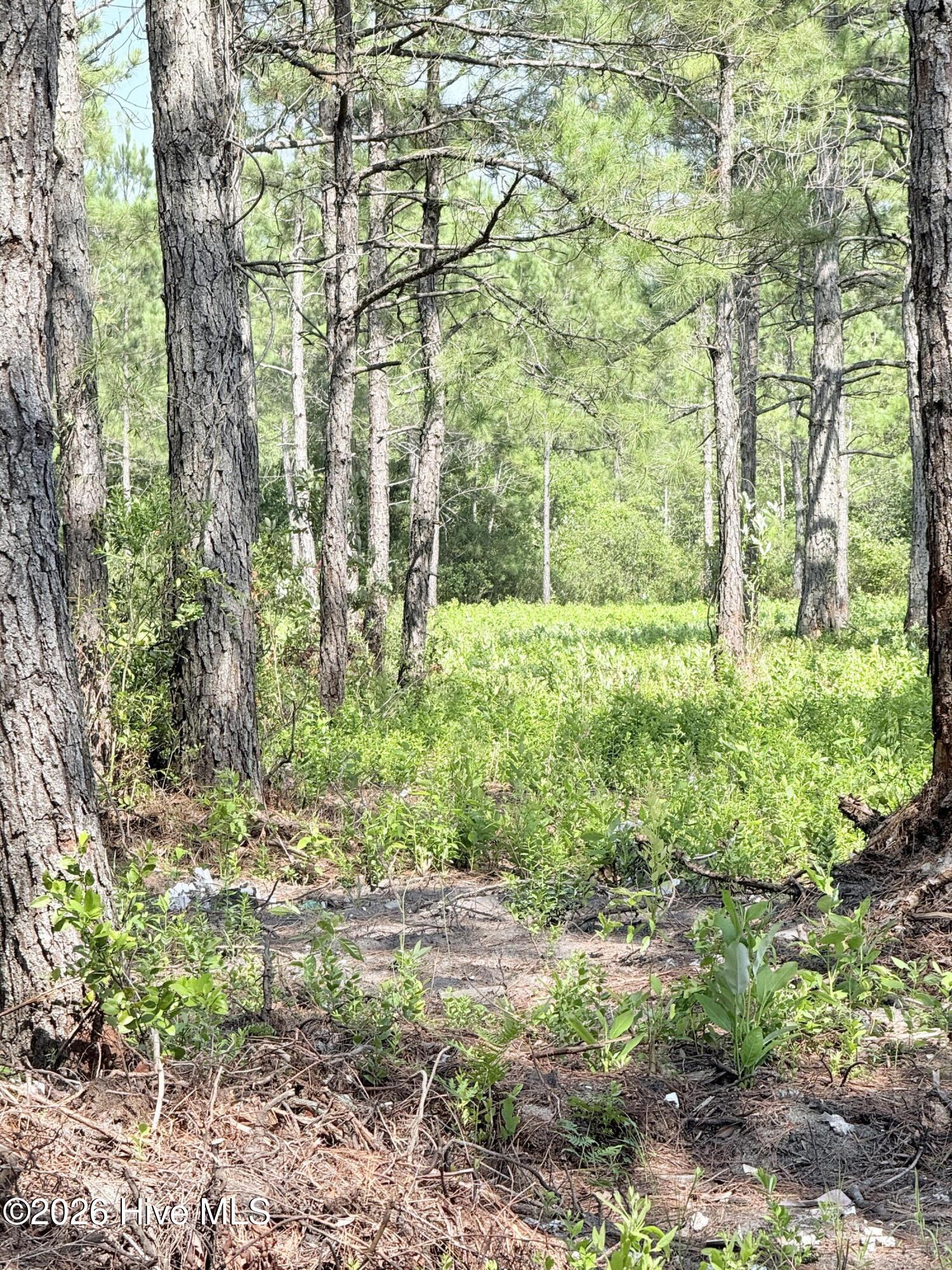 00 Seaside (12.25 Acres) Road Sw Property Photo 16