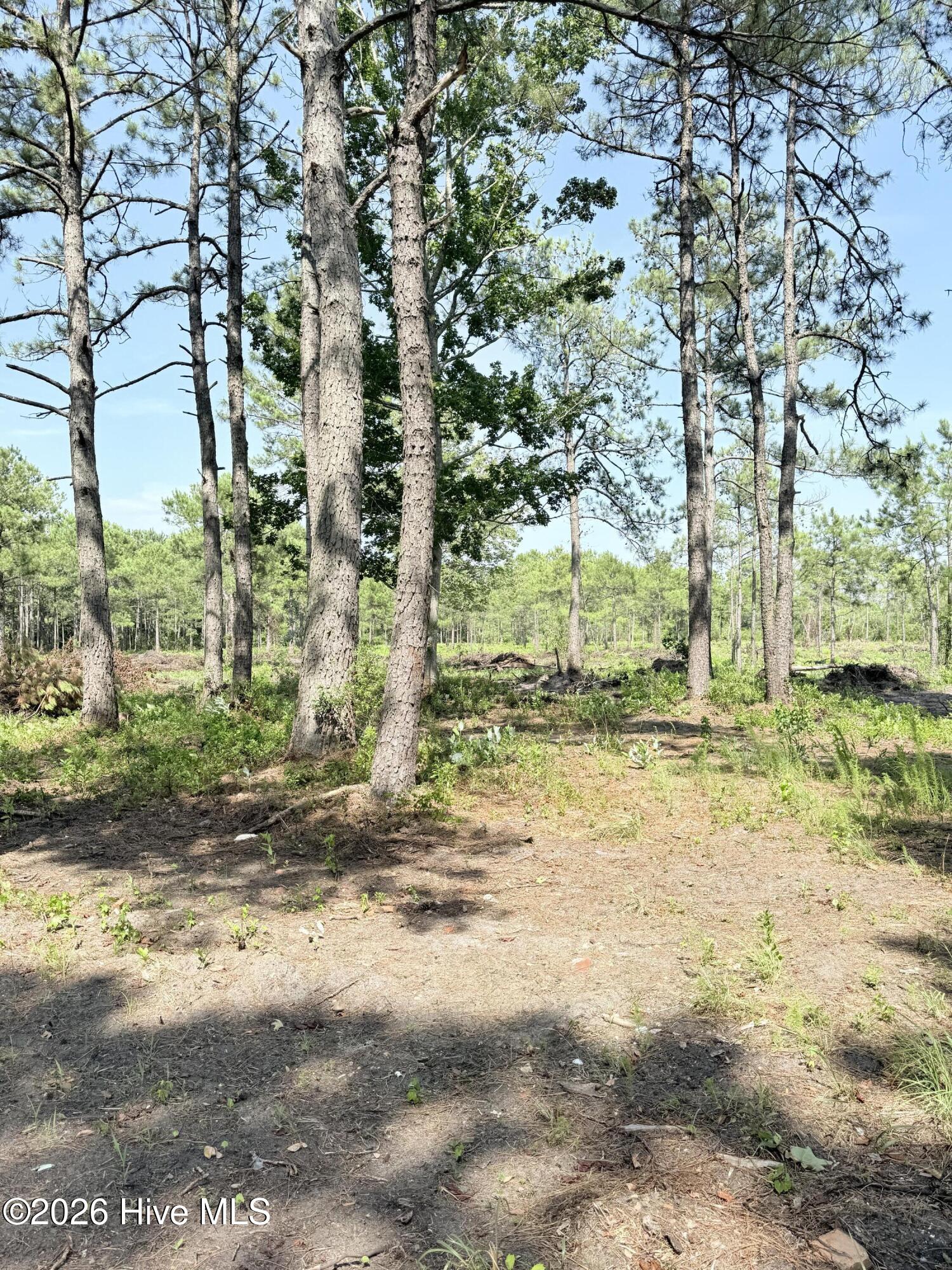 00 Seaside (12.25 Acres) Road Sw Property Photo 18