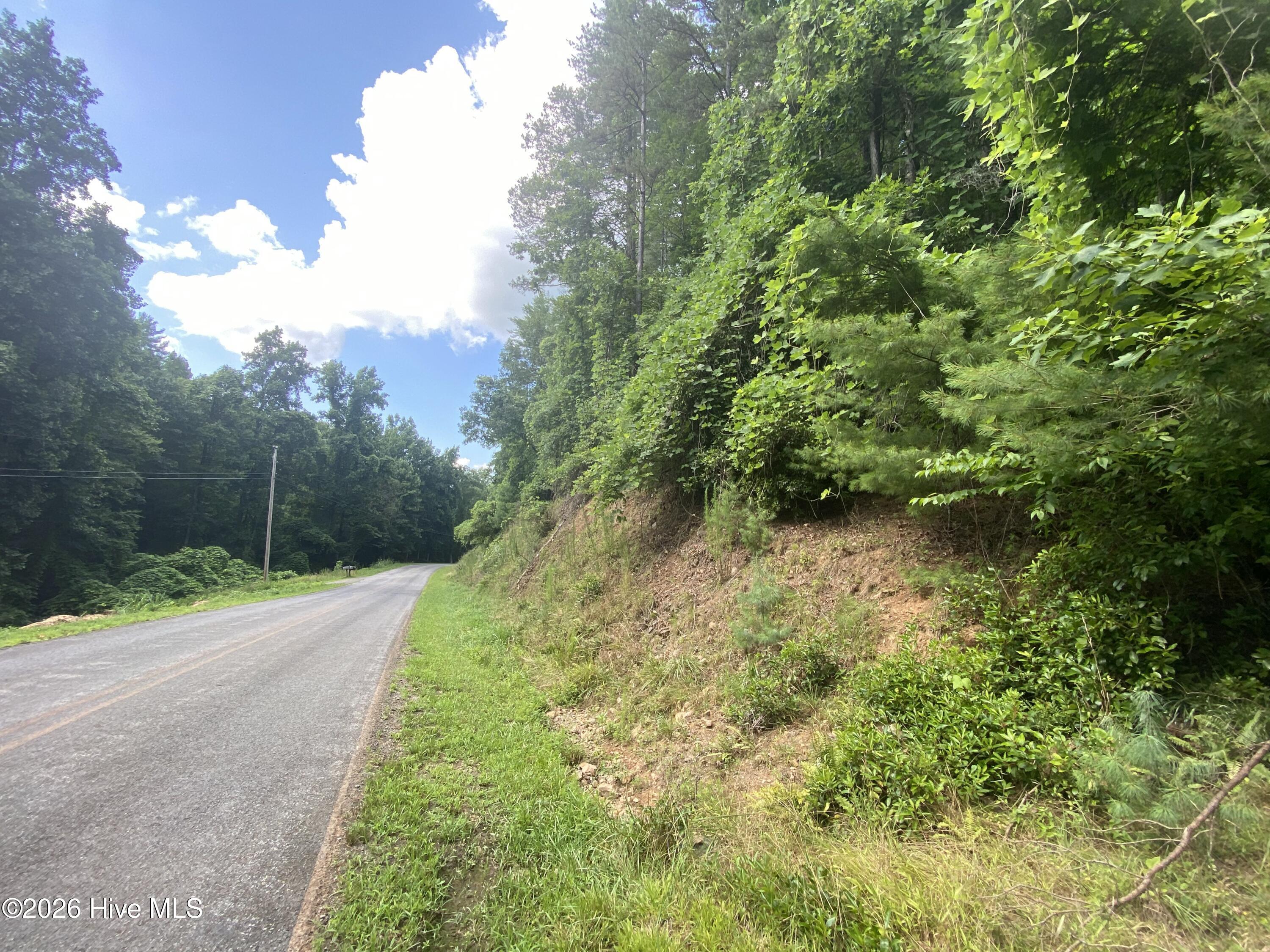 367 Tract 2 Chastain Road Property Photo 1