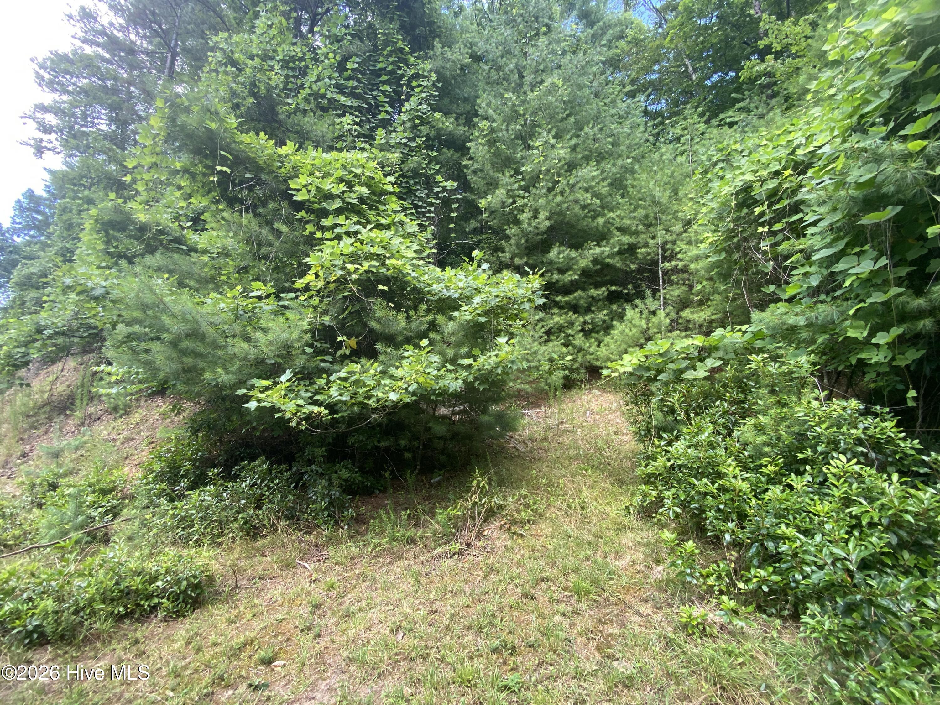 367 Tract 2 Chastain Road Property Photo 6