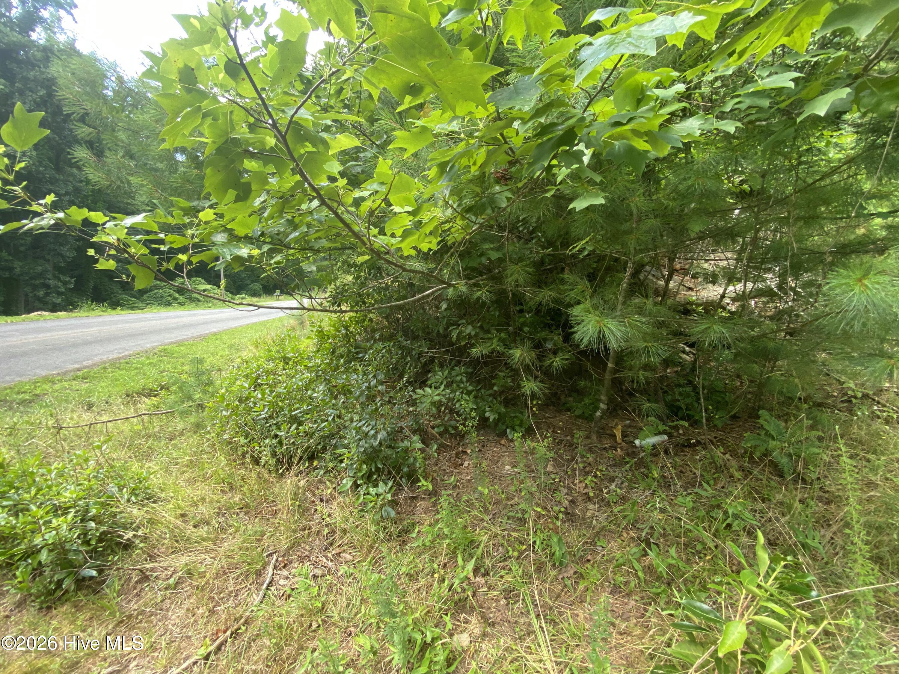 367 Tract 2 Chastain Road Property Photo 9