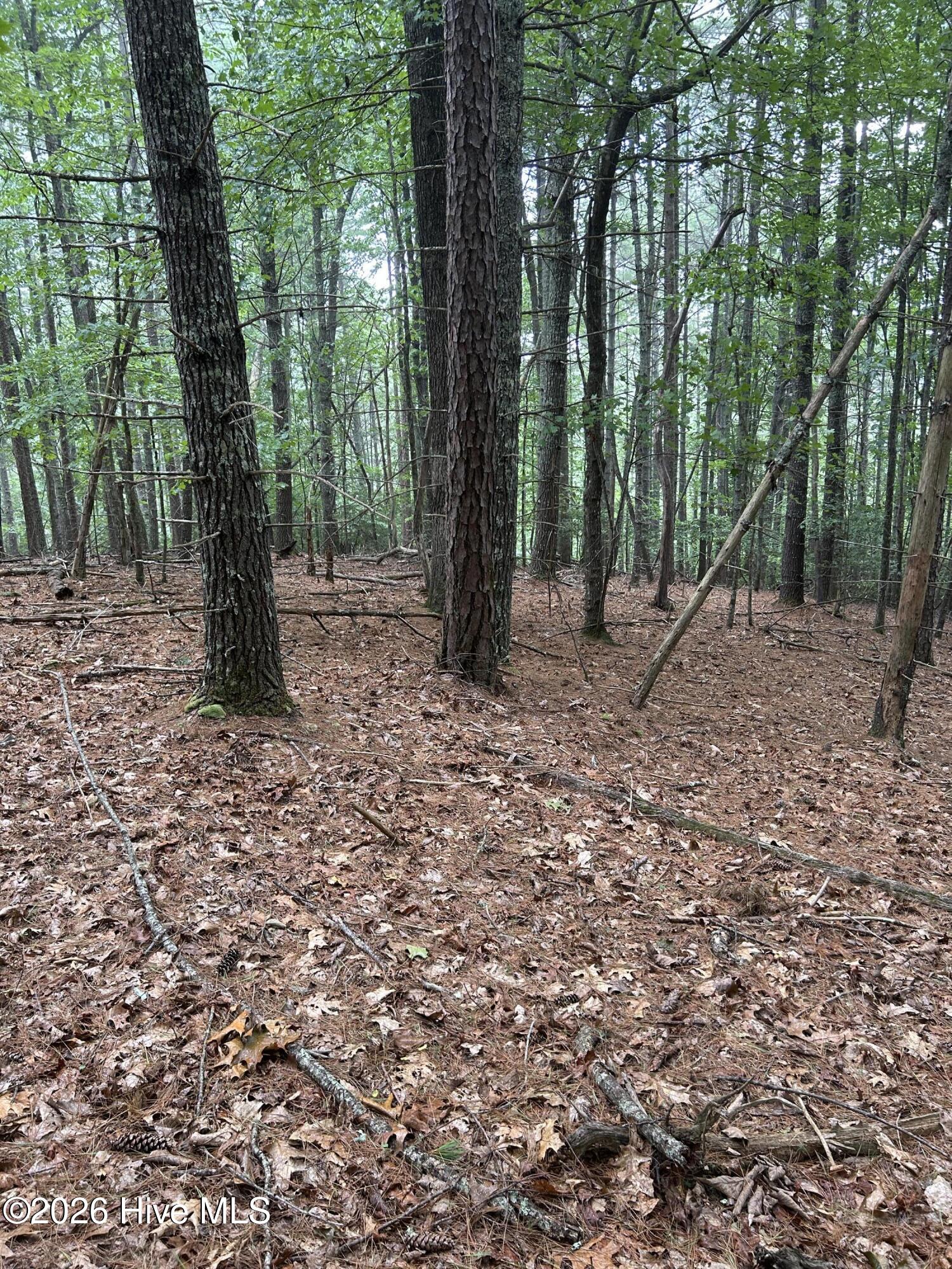367 Tract 2 Chastain Road Property Photo 10