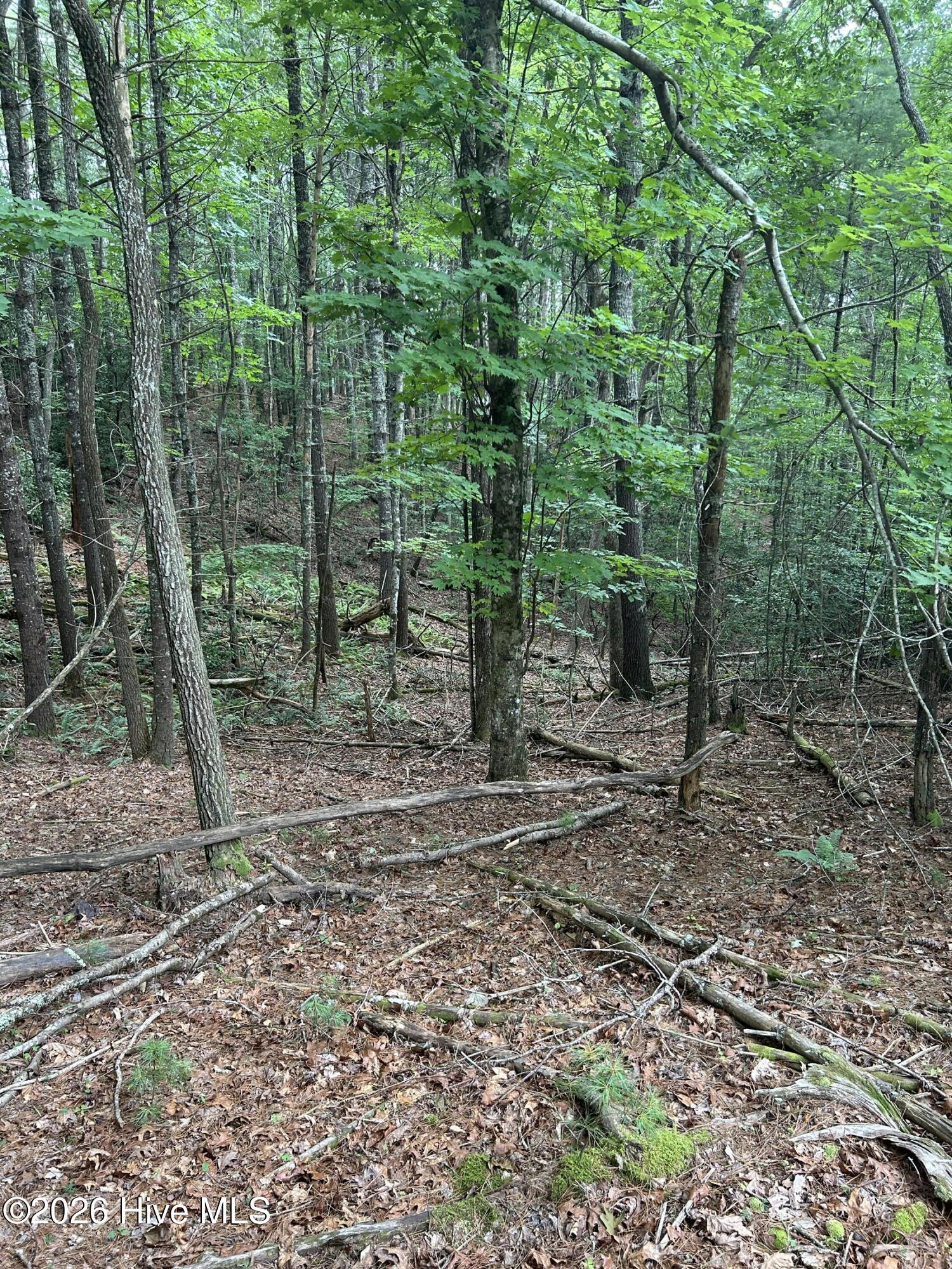 367 Tract 2 Chastain Road Property Photo 11