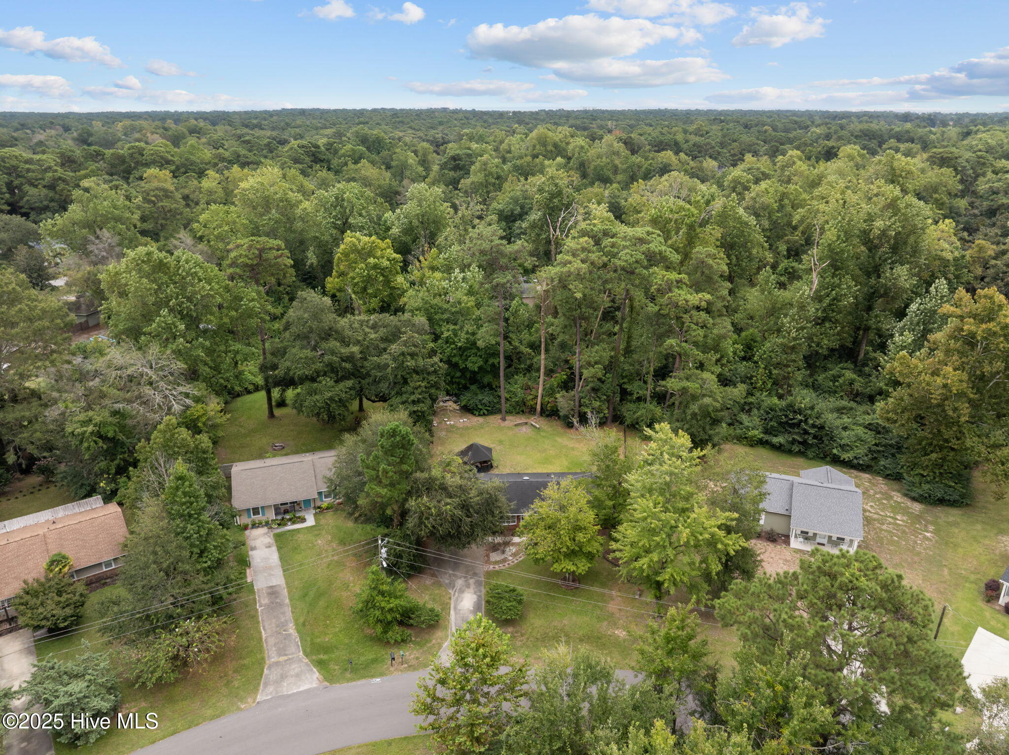 233 Buff Circle Property Photo 48