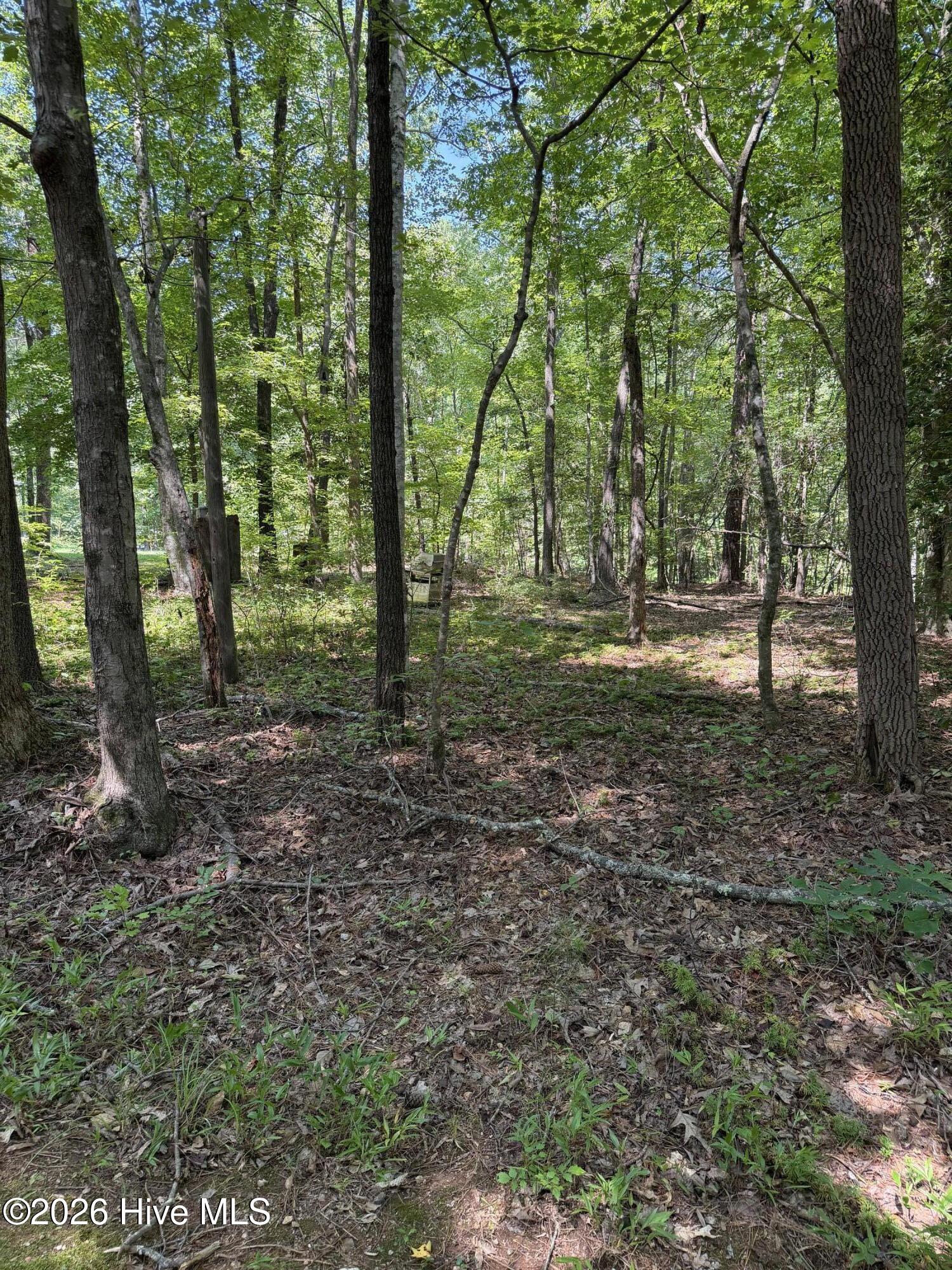 153 Omaha Drive Property Photo 1