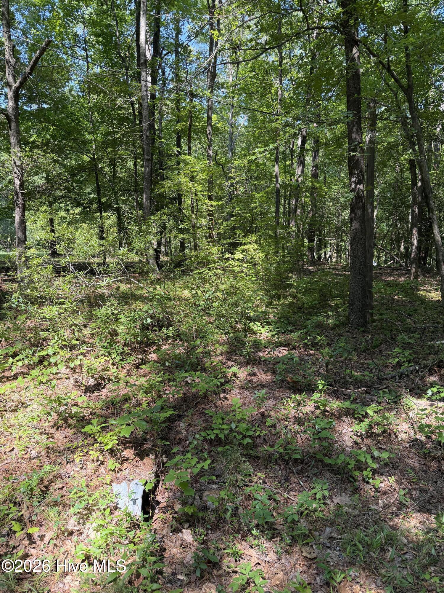 153 Omaha Drive Property Photo 2