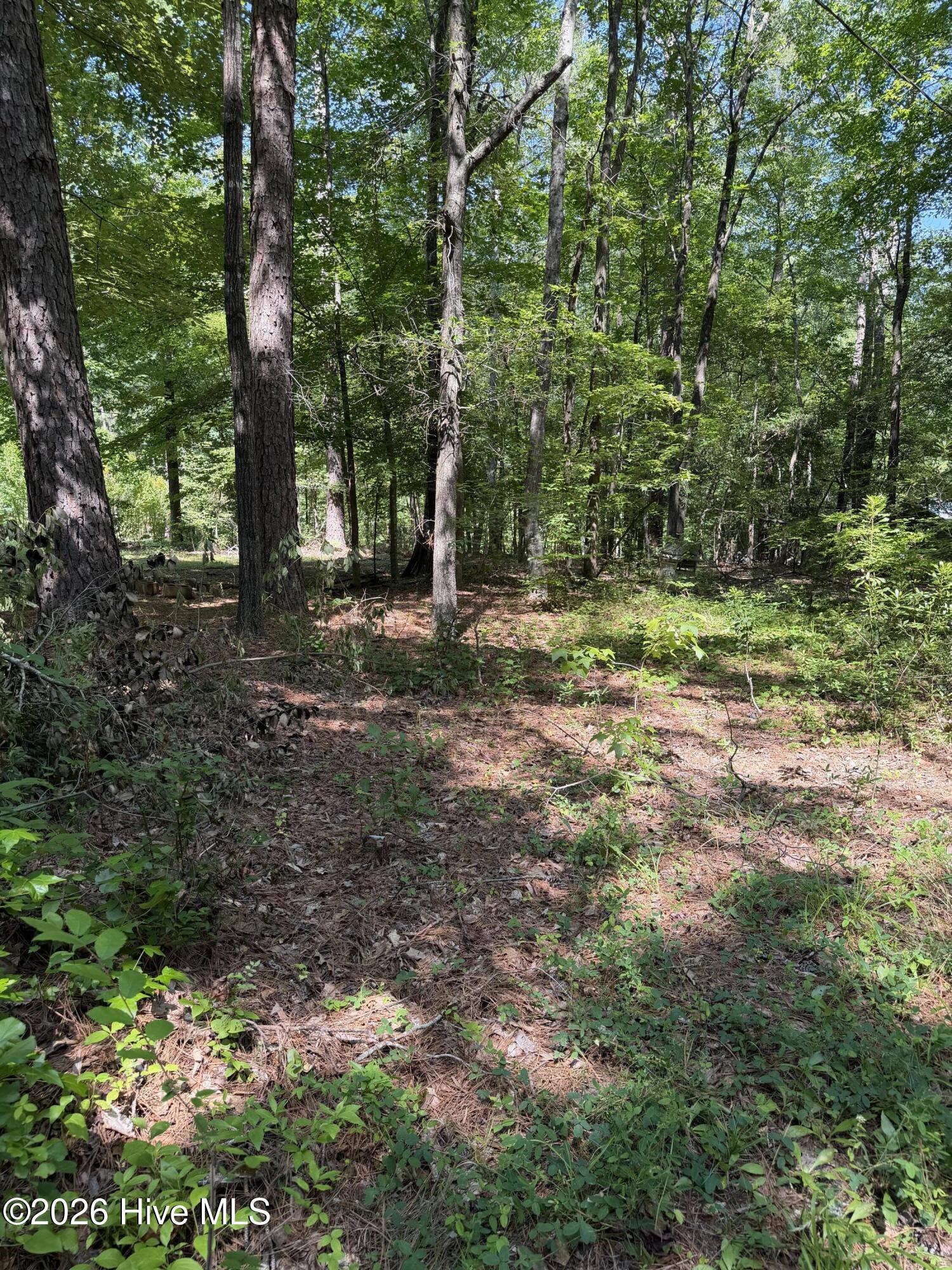 153 Omaha Drive Property Photo 3
