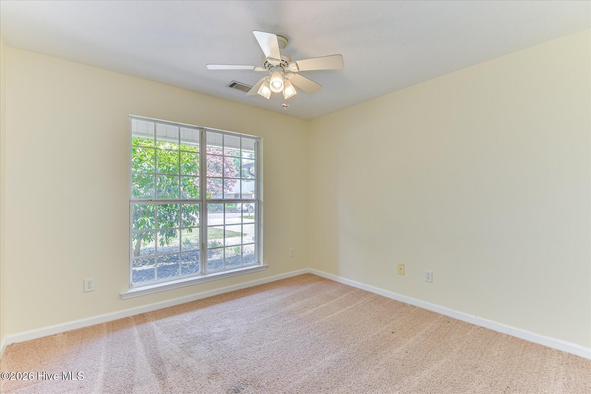 246 Andrews Branch Property Photo 29