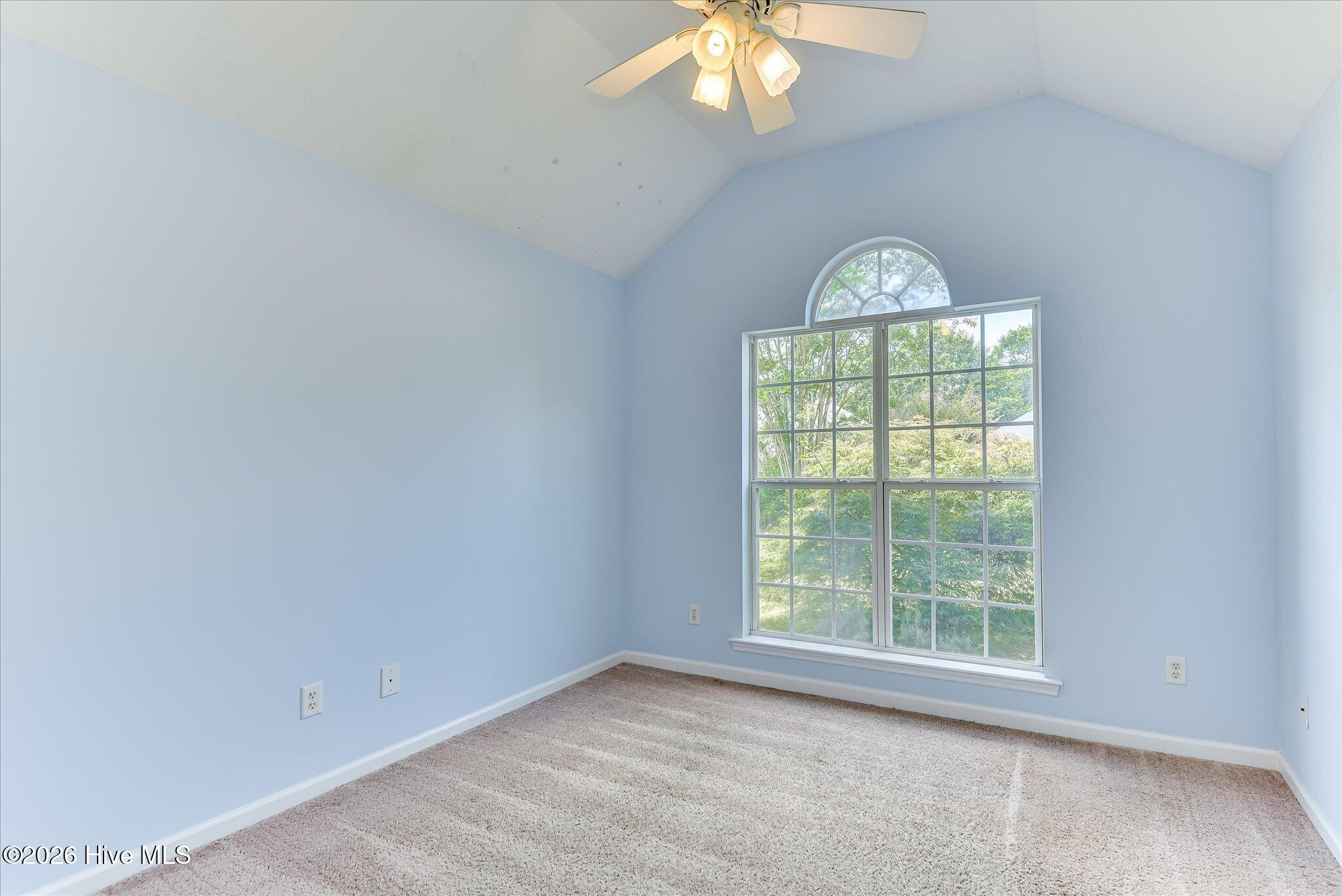 246 Andrews Branch Property Photo 32